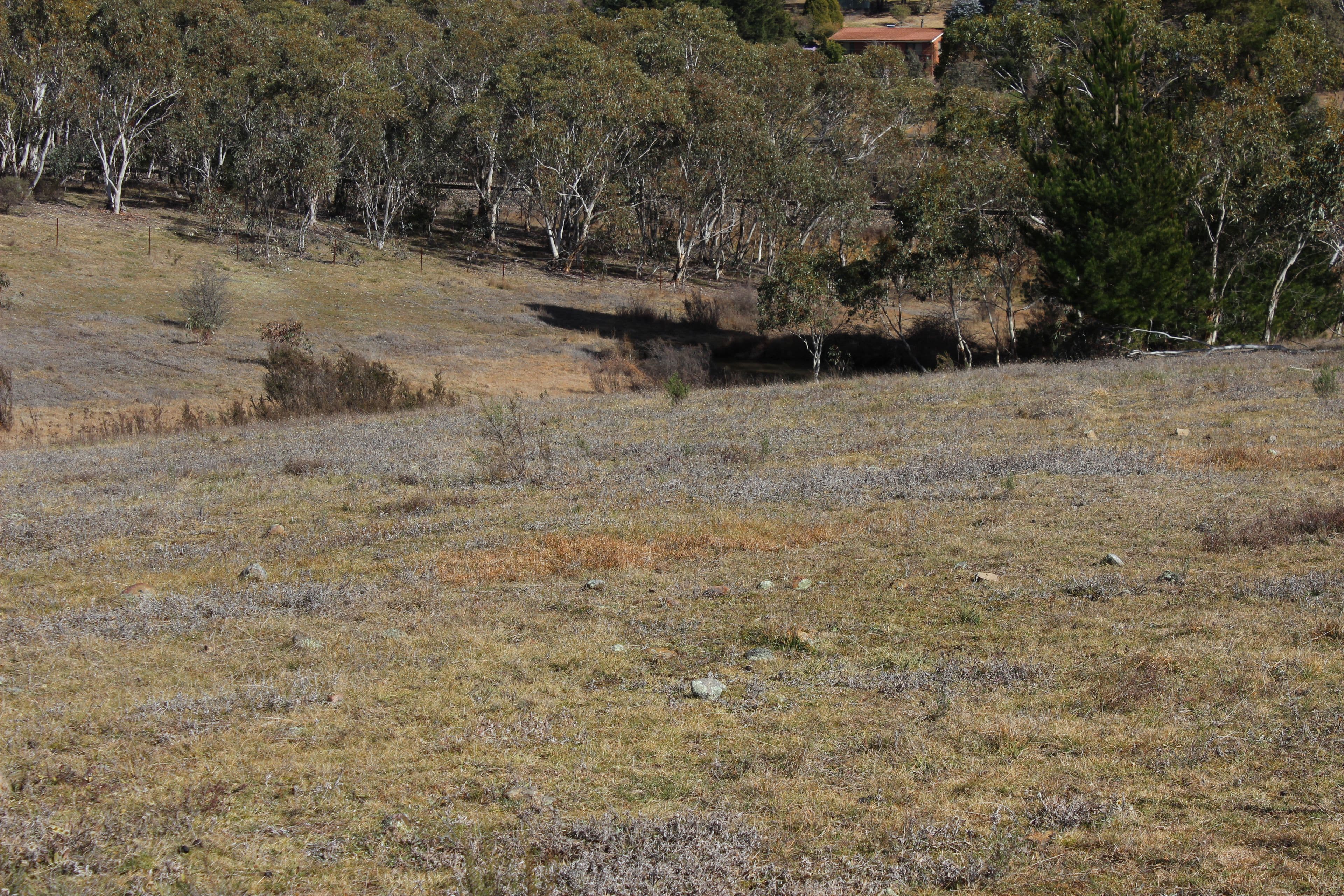 255 Cartwright Street, Rydal NSW 2790, Rydal - Thumbnail 2
