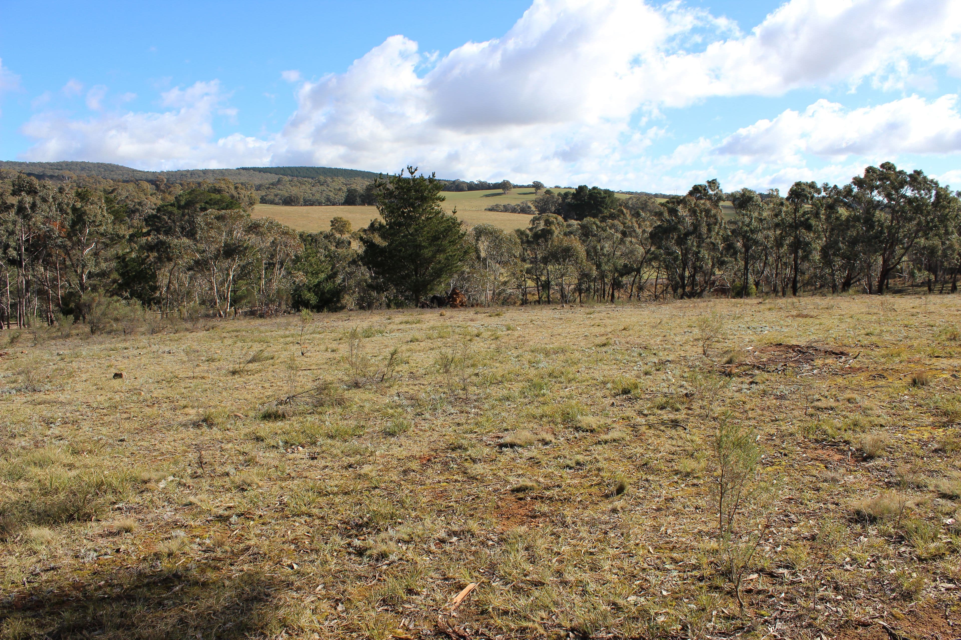 255 Cartwright Street, Rydal NSW 2790, Rydal - Thumbnail 2