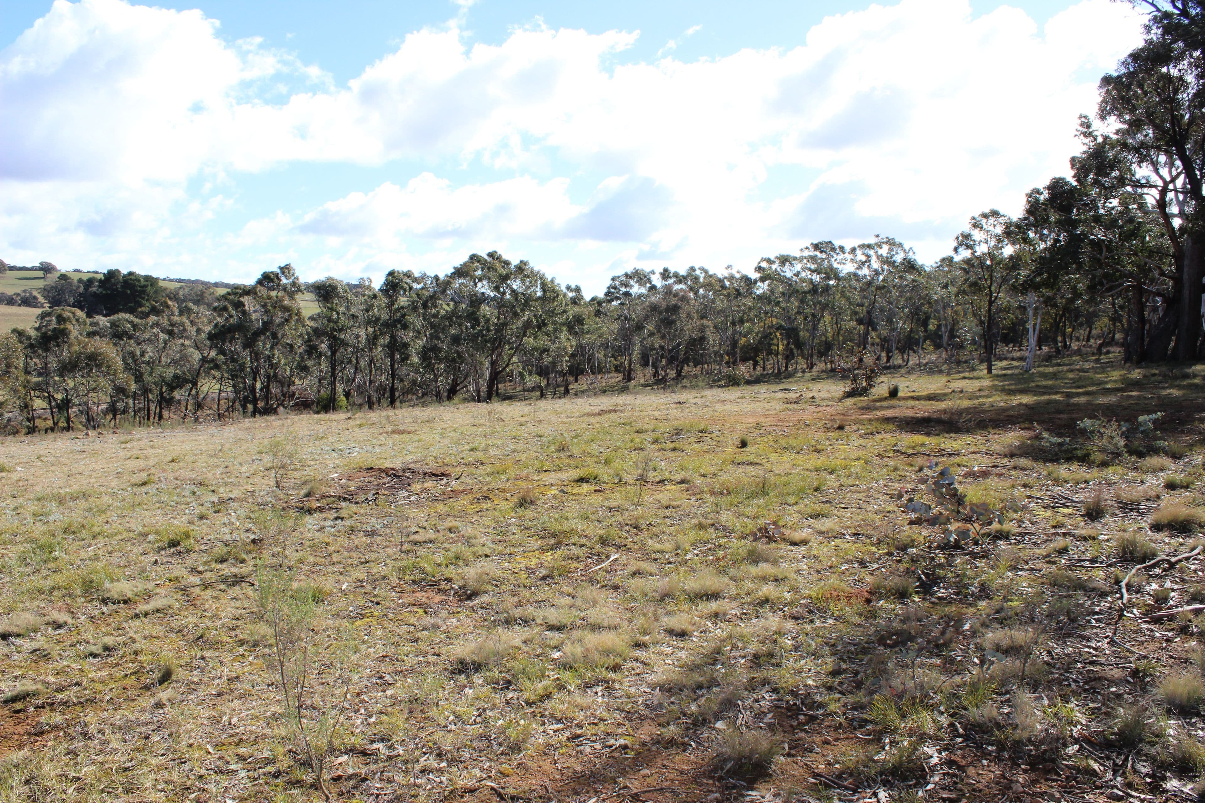 255 Cartwright Street, Rydal NSW 2790, Rydal - Thumbnail 7