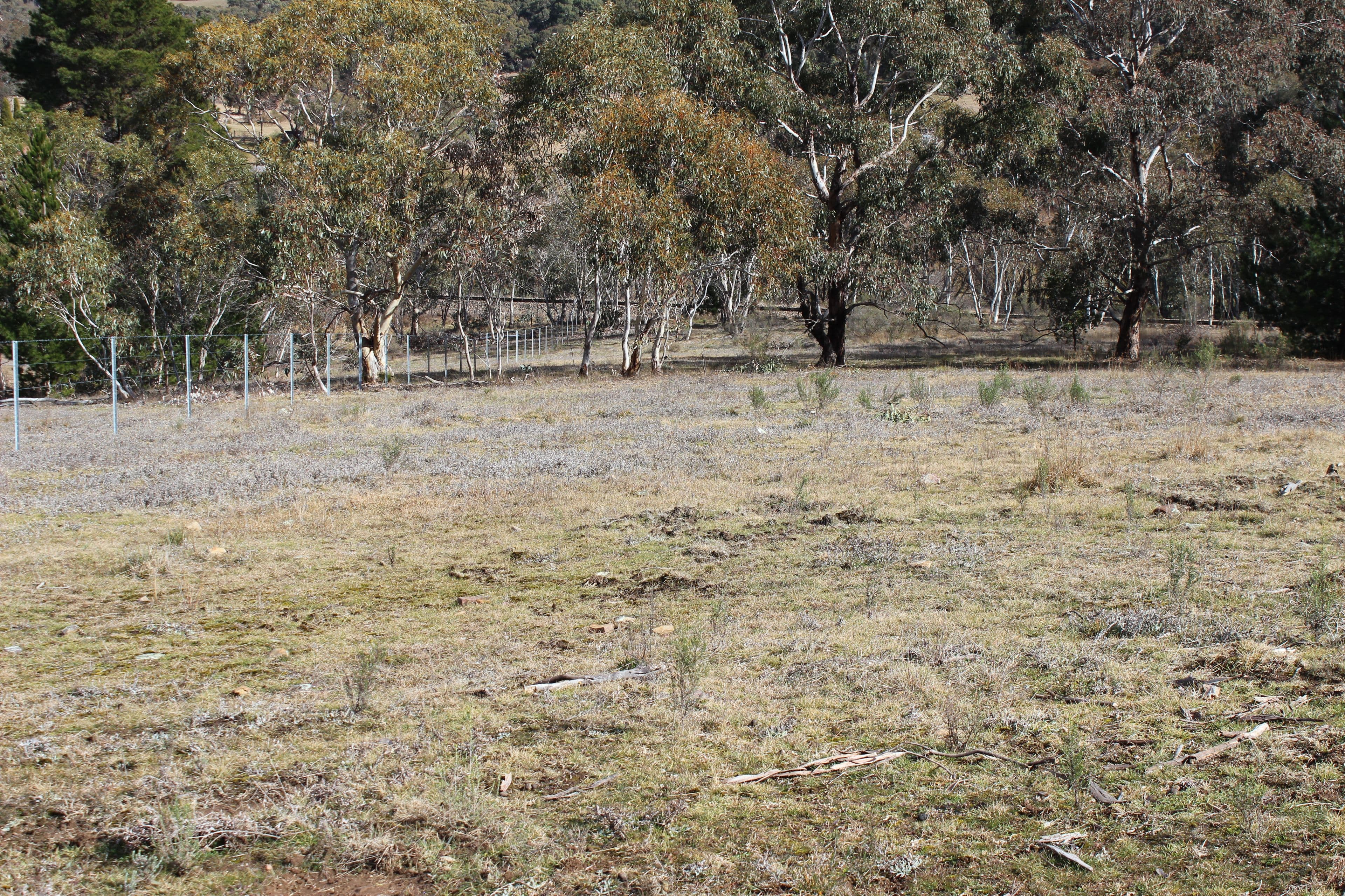 255 Cartwright Street, Rydal NSW 2790, Rydal - Thumbnail 4