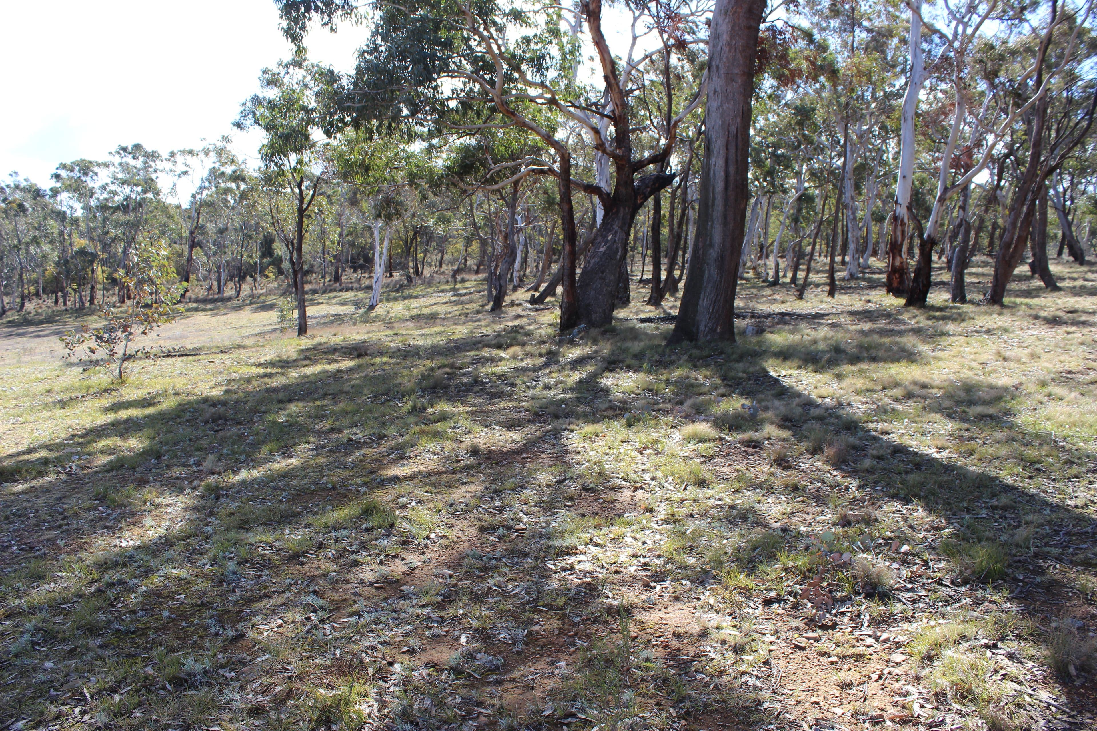 255 Cartwright Street, Rydal NSW 2790, Rydal - Thumbnail 8