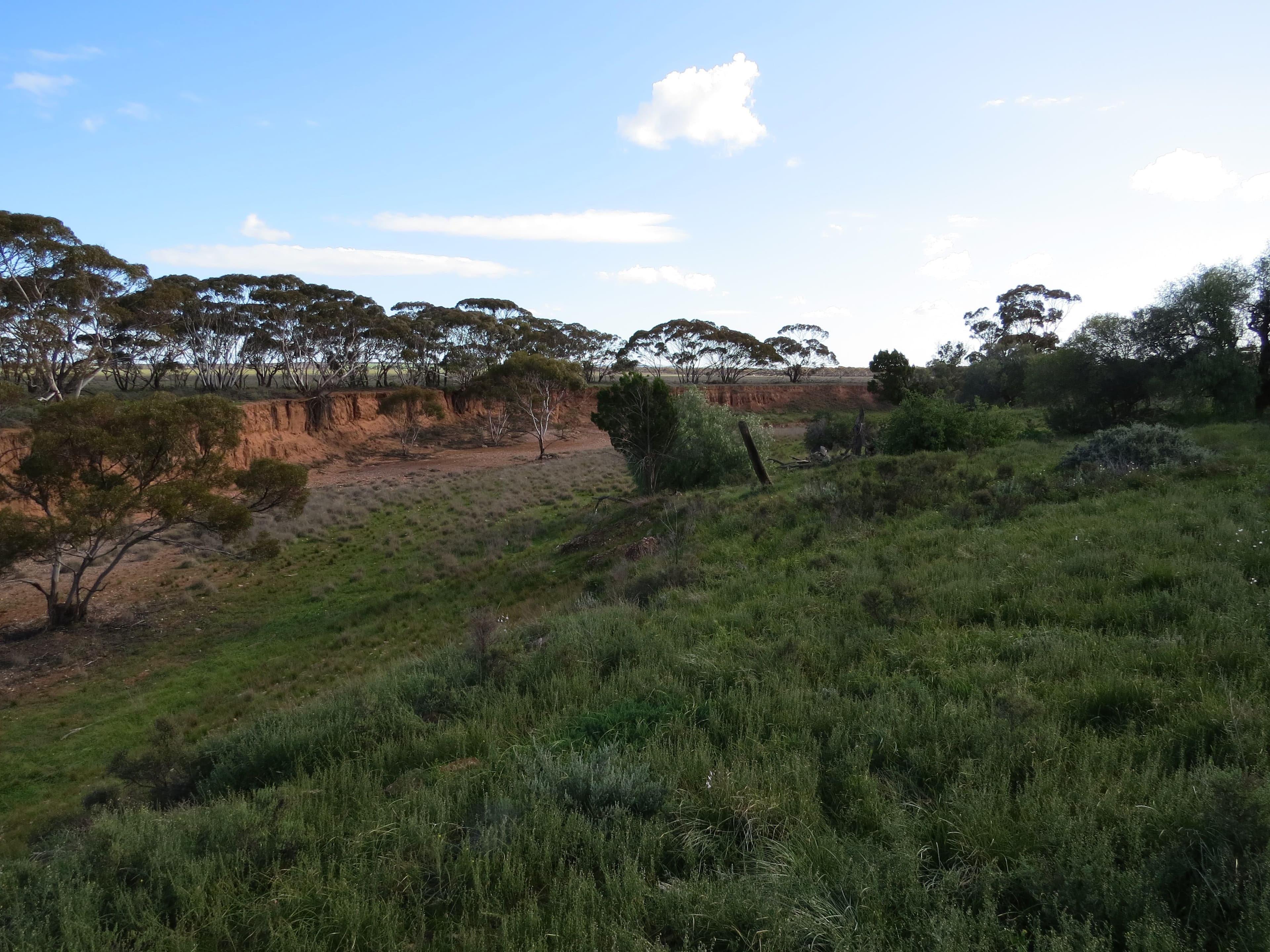 "John's" Stock Route Road, SUTHERLANDS SA 5374, Sutherlands - Thumbnail 6