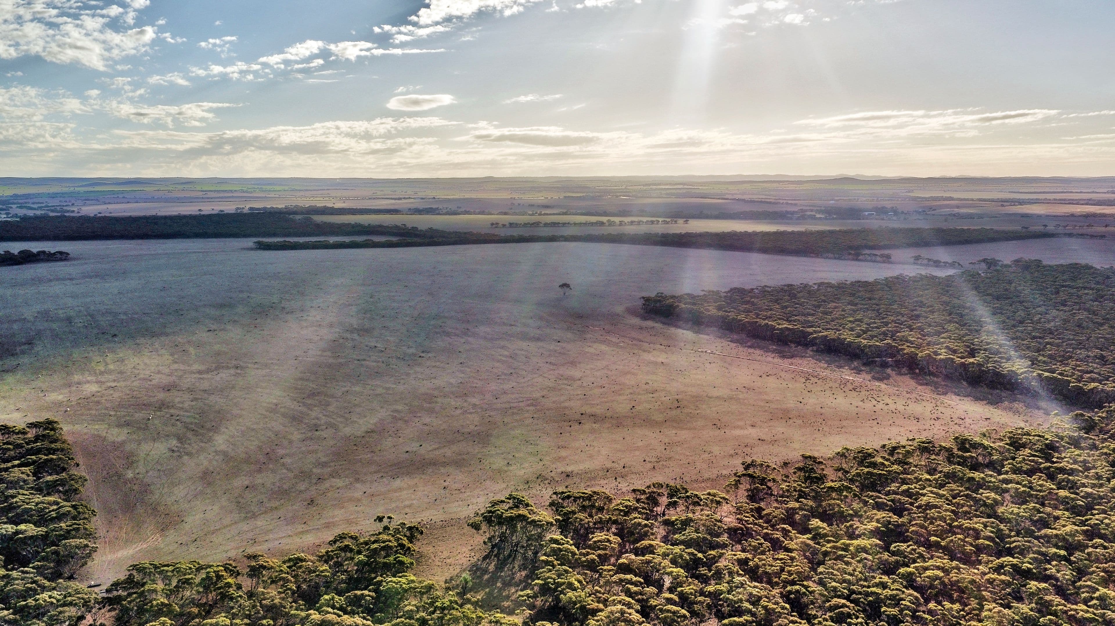 Lot2 BushBlock Mallee Road, NEALES FLAT SA 5374, Neales Flat - Thumbnail 7