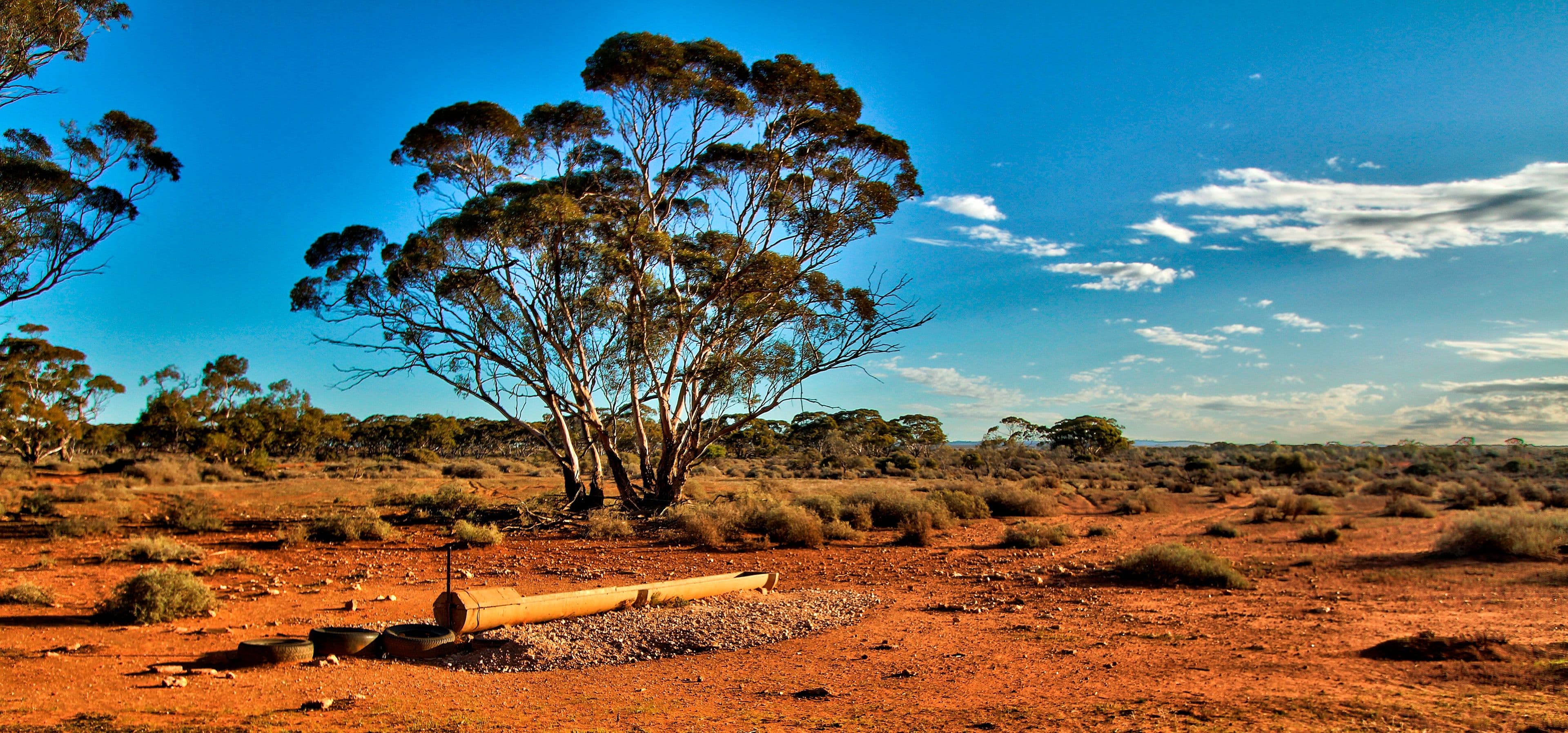 Lot2 BushBlock Mallee Road, NEALES FLAT SA 5374, Neales Flat - Thumbnail 4