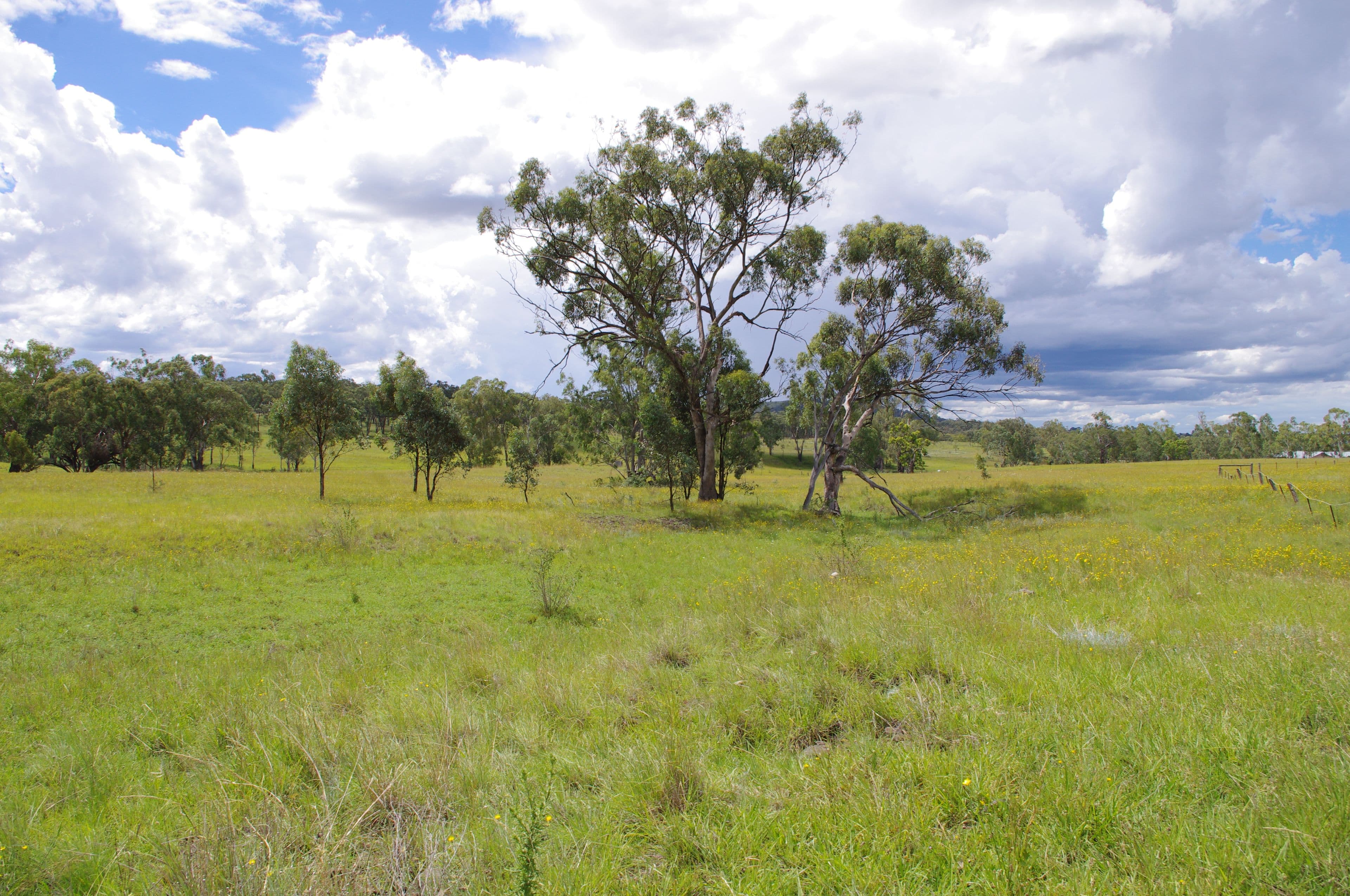Lot 4 406 Old Bundarra Road, Inverell NSW 2360, Inverell - Thumbnail 6
