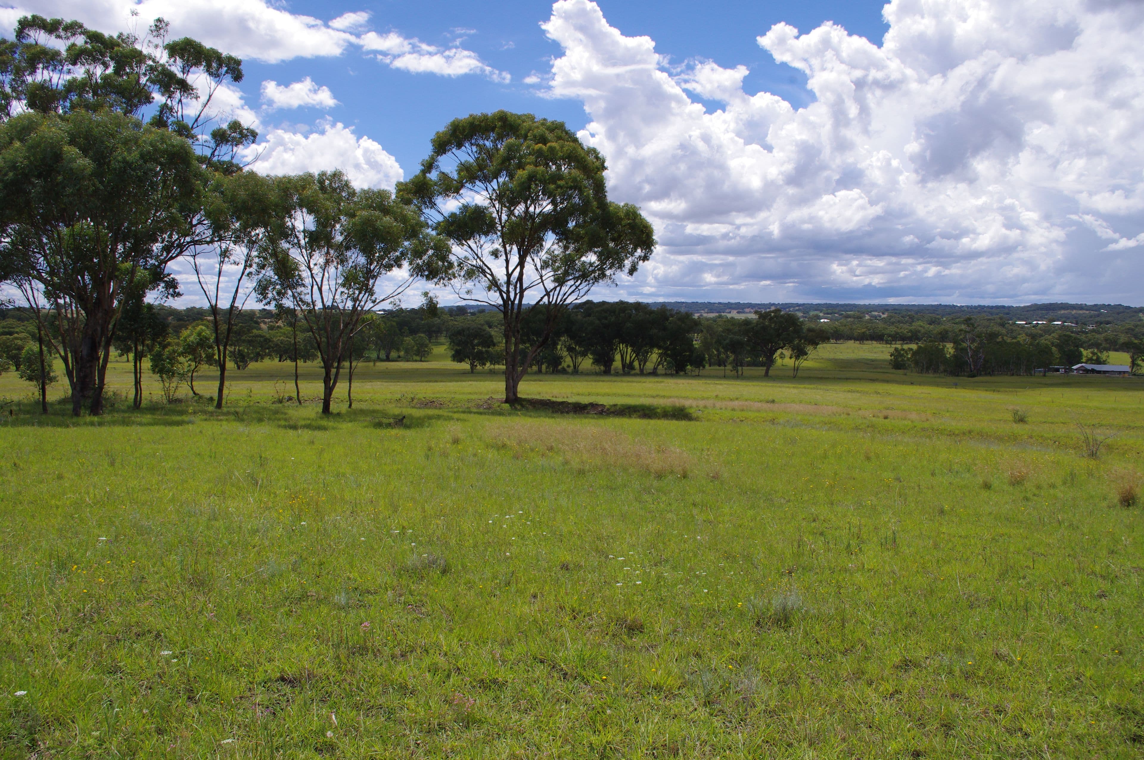 Lot 4 406 Old Bundarra Road, Inverell NSW 2360, Inverell - Thumbnail 2