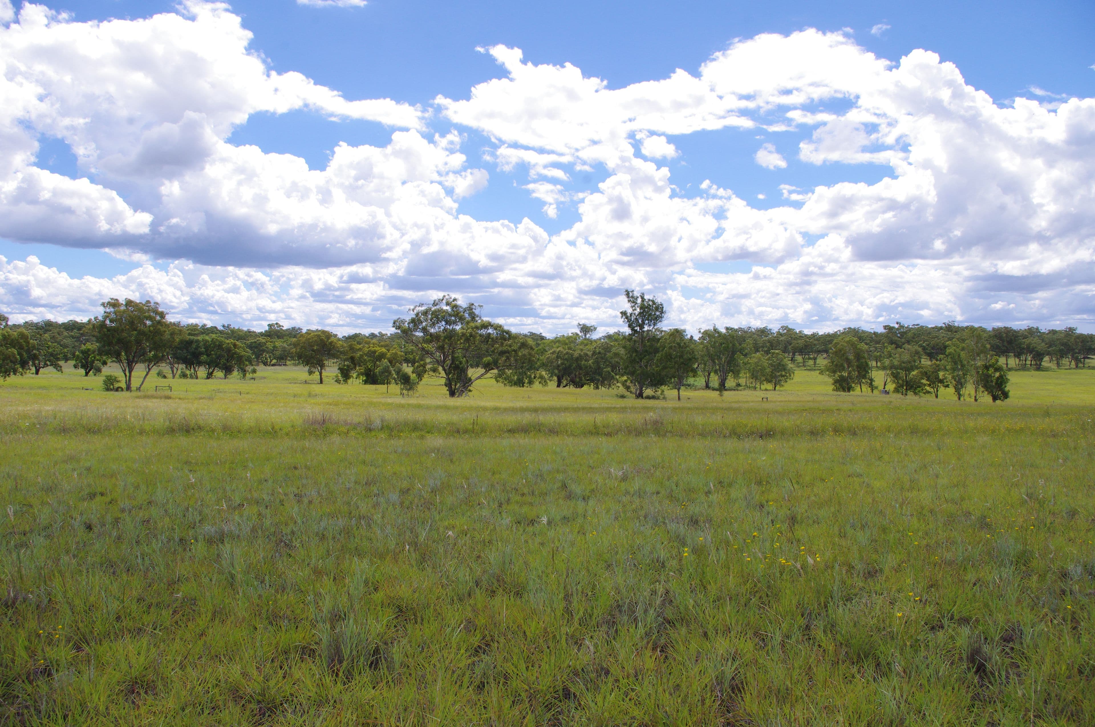 Lot 4 406 Old Bundarra Road, Inverell NSW 2360, Inverell - Thumbnail 4