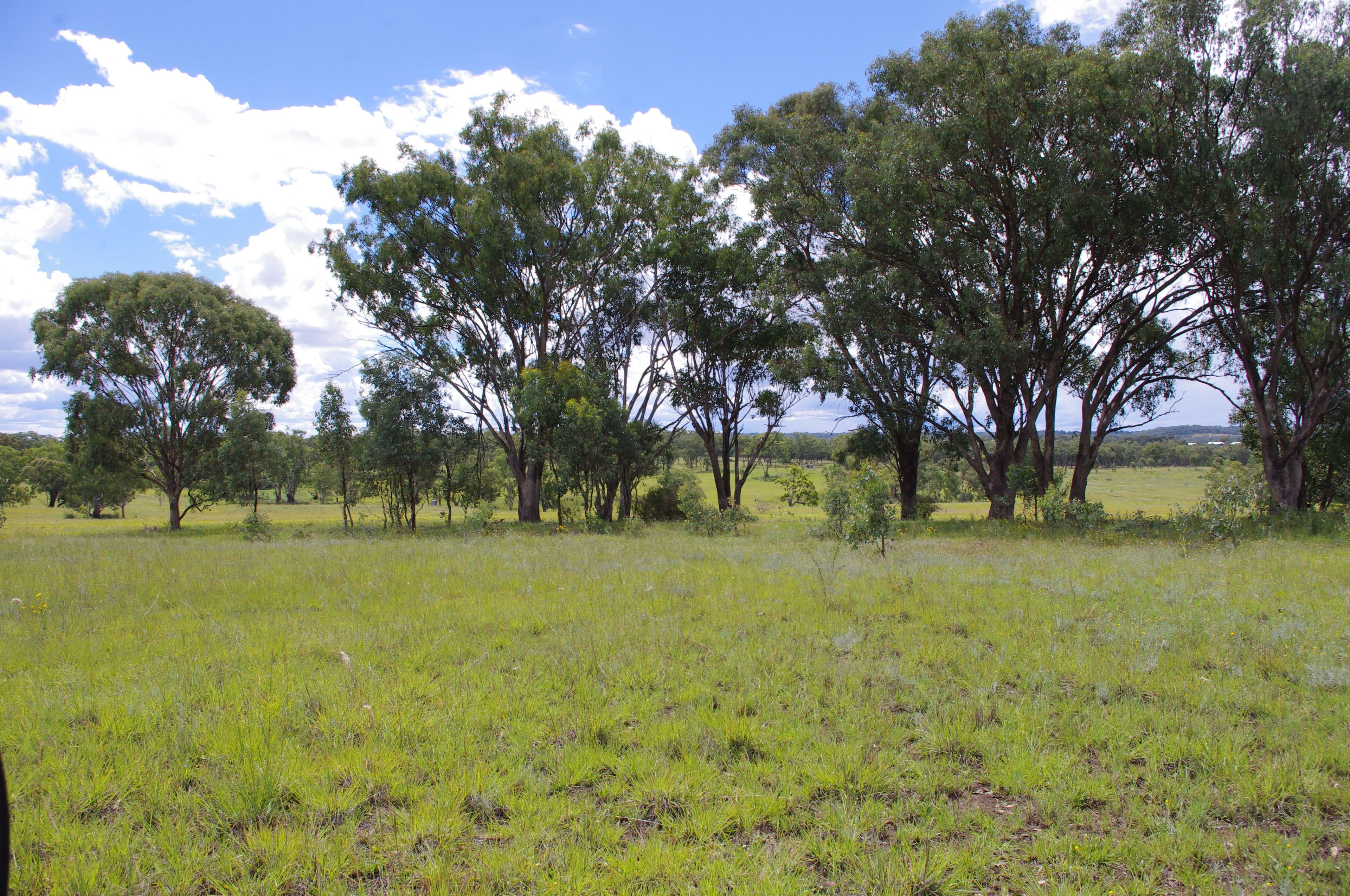 Lot 4 406 Old Bundarra Road, Inverell NSW 2360, Inverell - Thumbnail 5