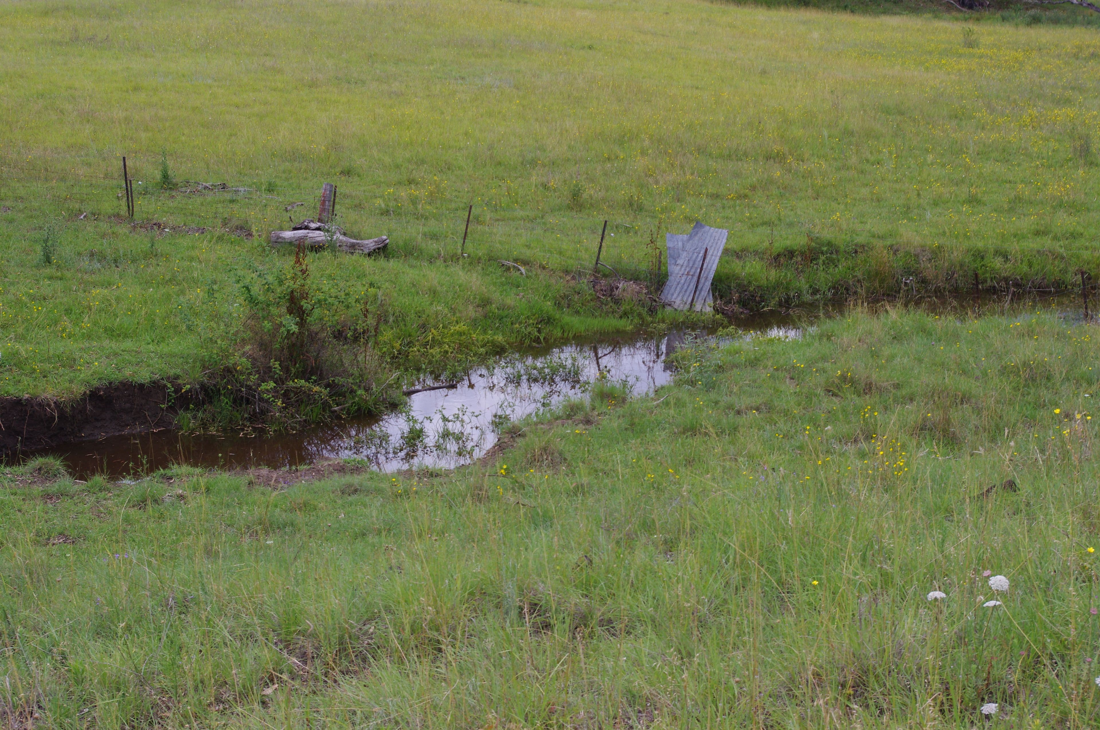 Lot 4 406 Old Bundarra Road, Inverell NSW 2360, Inverell - Thumbnail 3