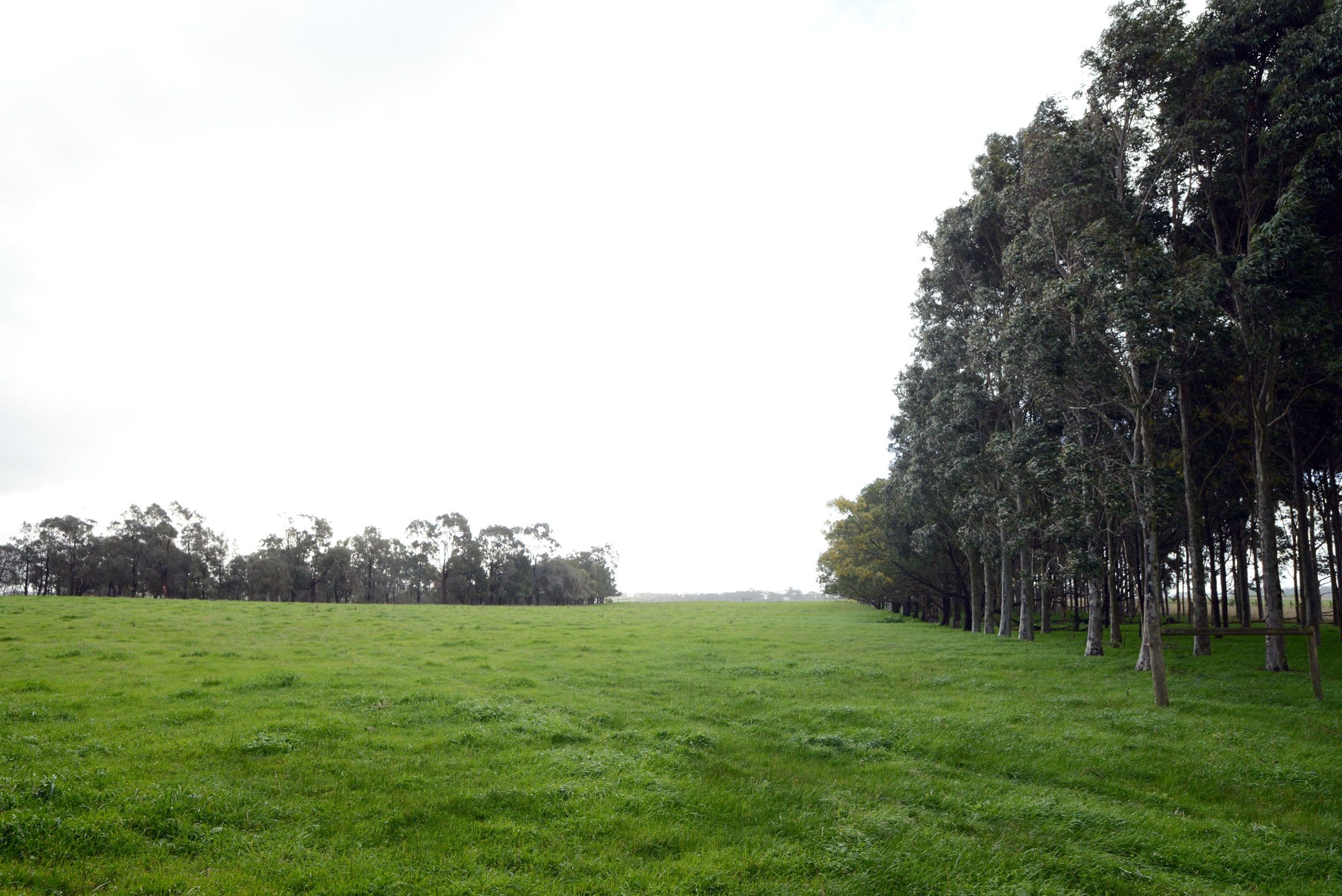64 Ford-Luers Road, Casterton VIC 3311, Casterton - Thumbnail 8