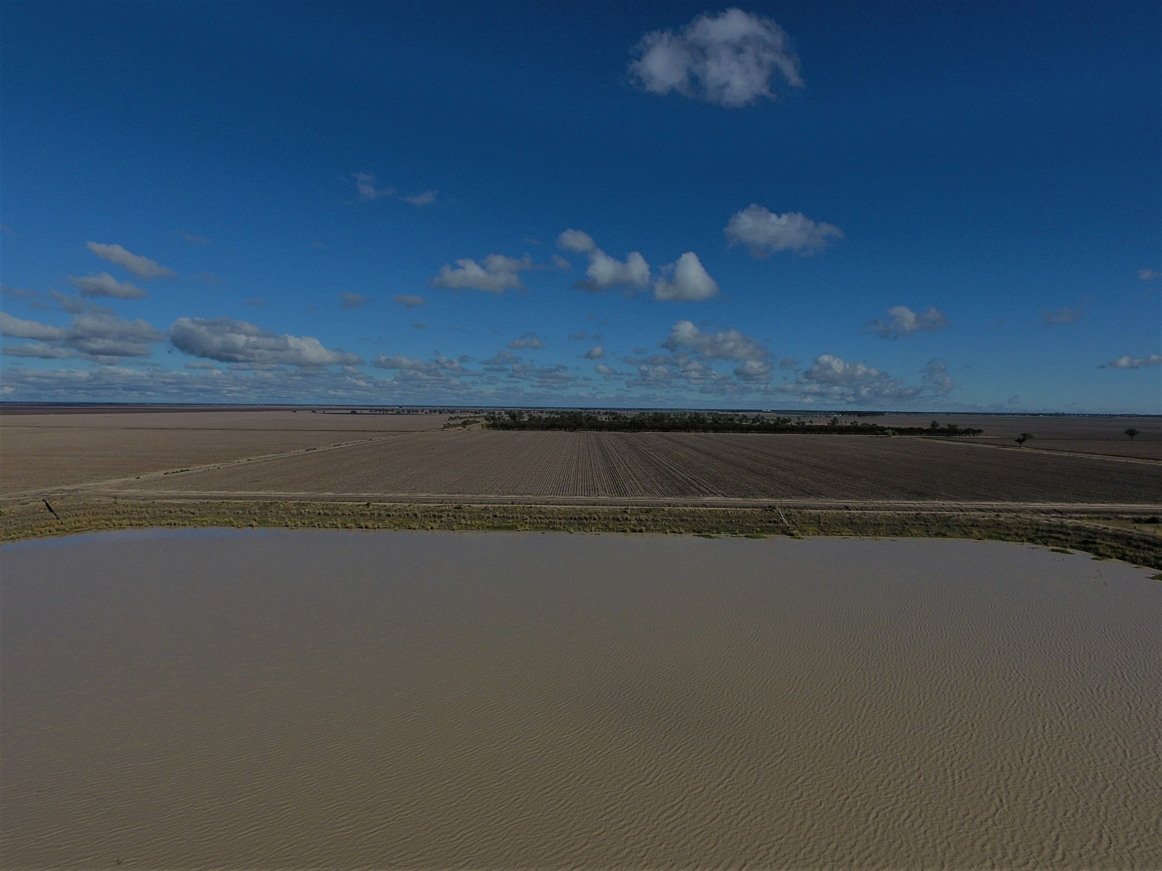 191 NEWTON STEPHEN Road, Bowenville QLD 4404, Bowenville - Thumbnail 4