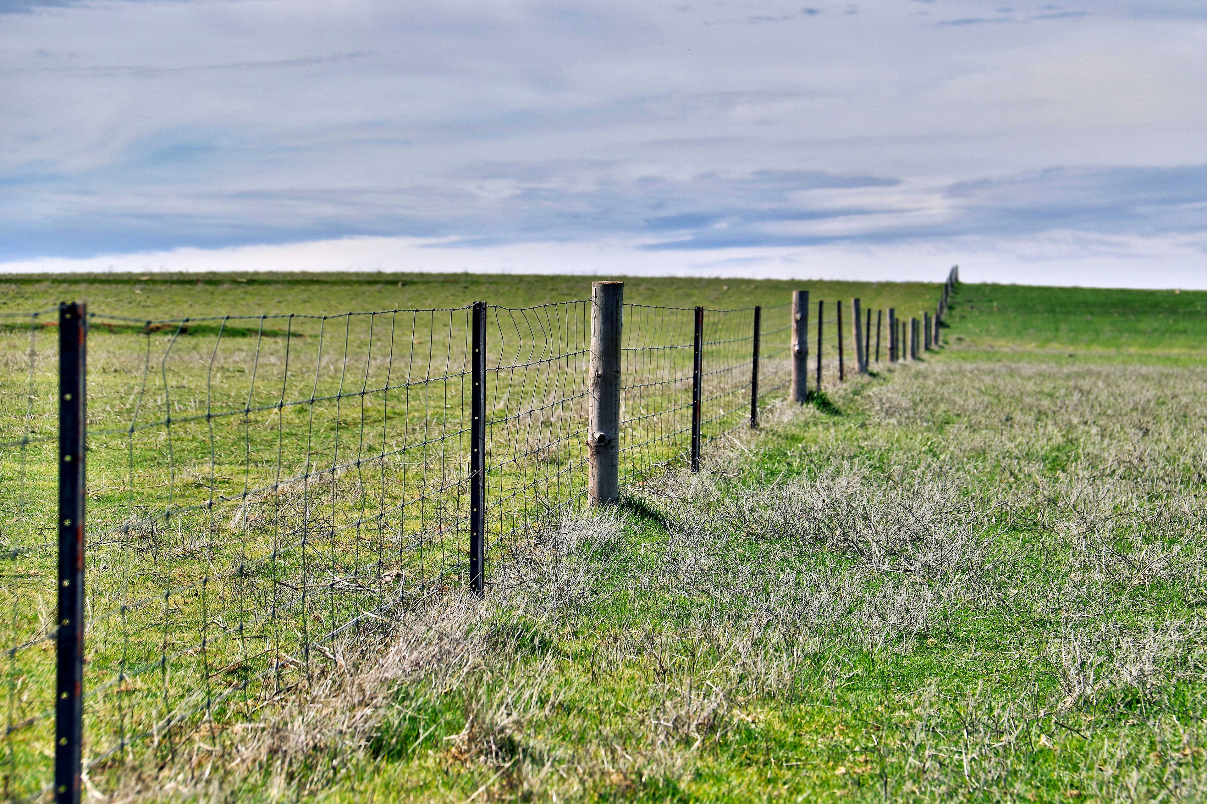 Lot2 Andersons Wilkins Highway, GLADSTONE SA 5473, Gladstone - Thumbnail 5