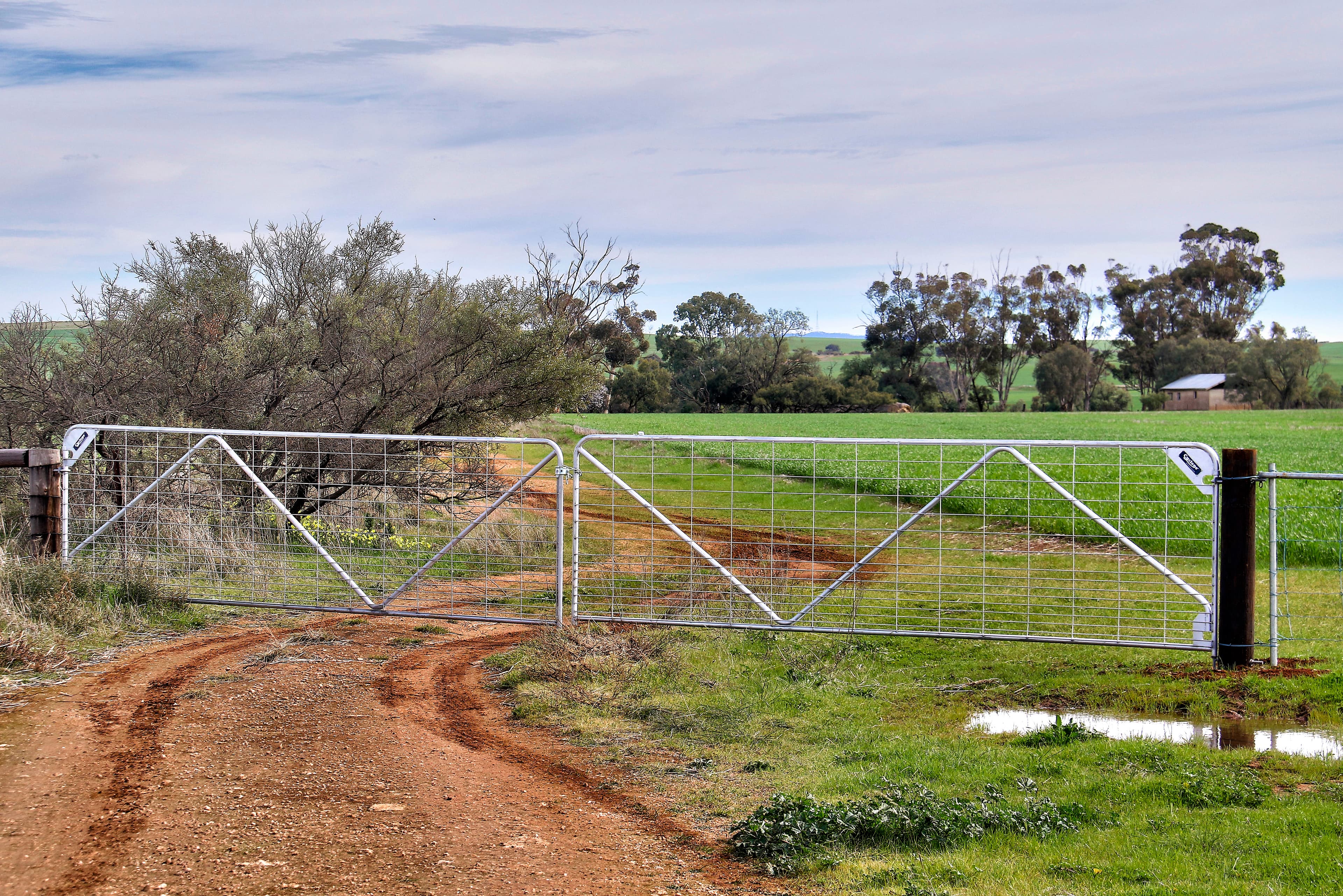 Lot2 Andersons Wilkins Highway, GLADSTONE SA 5473, Gladstone - Thumbnail 6