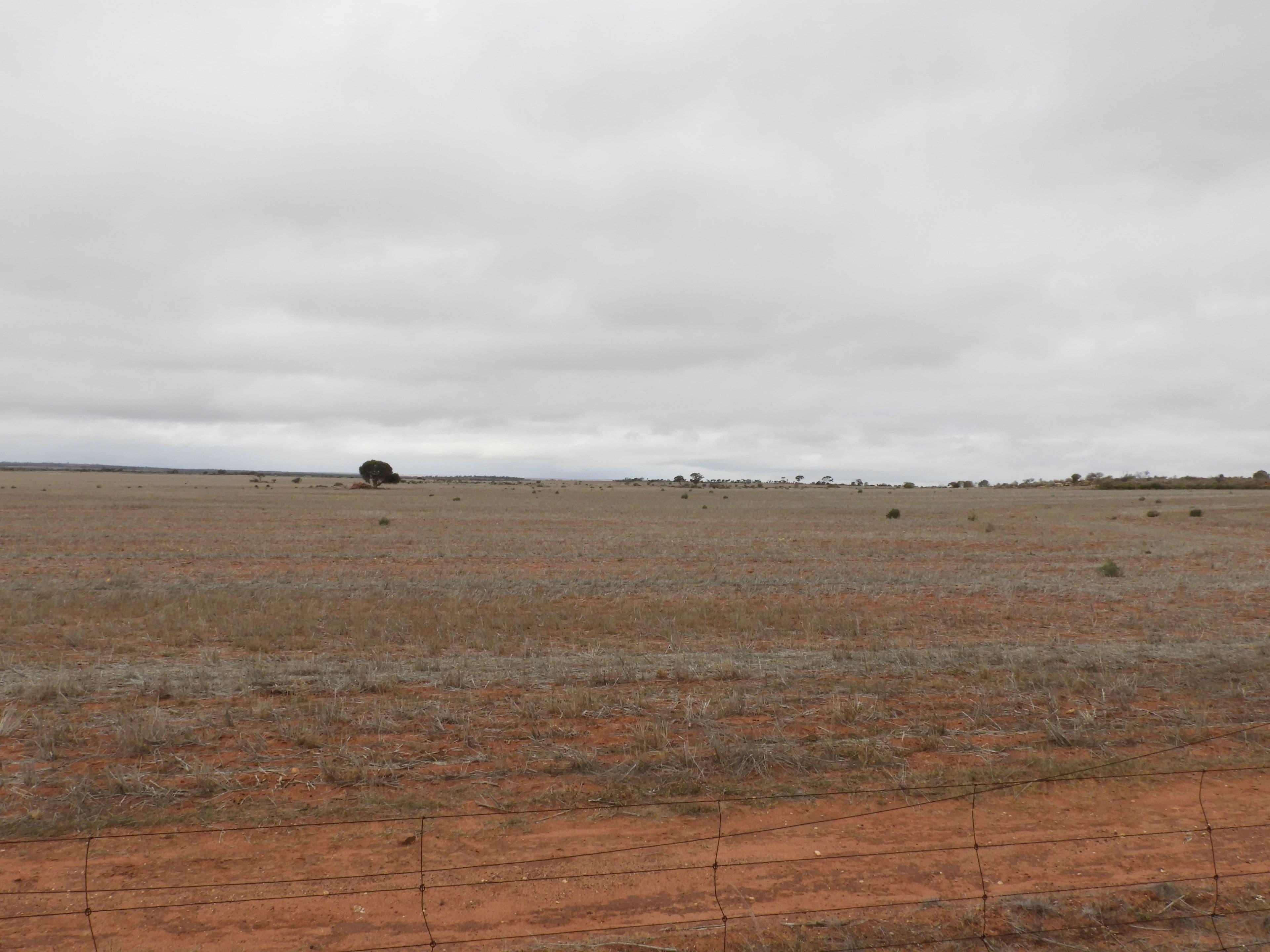0 Trellies, CANNA WA 6627, Canna - Image 1