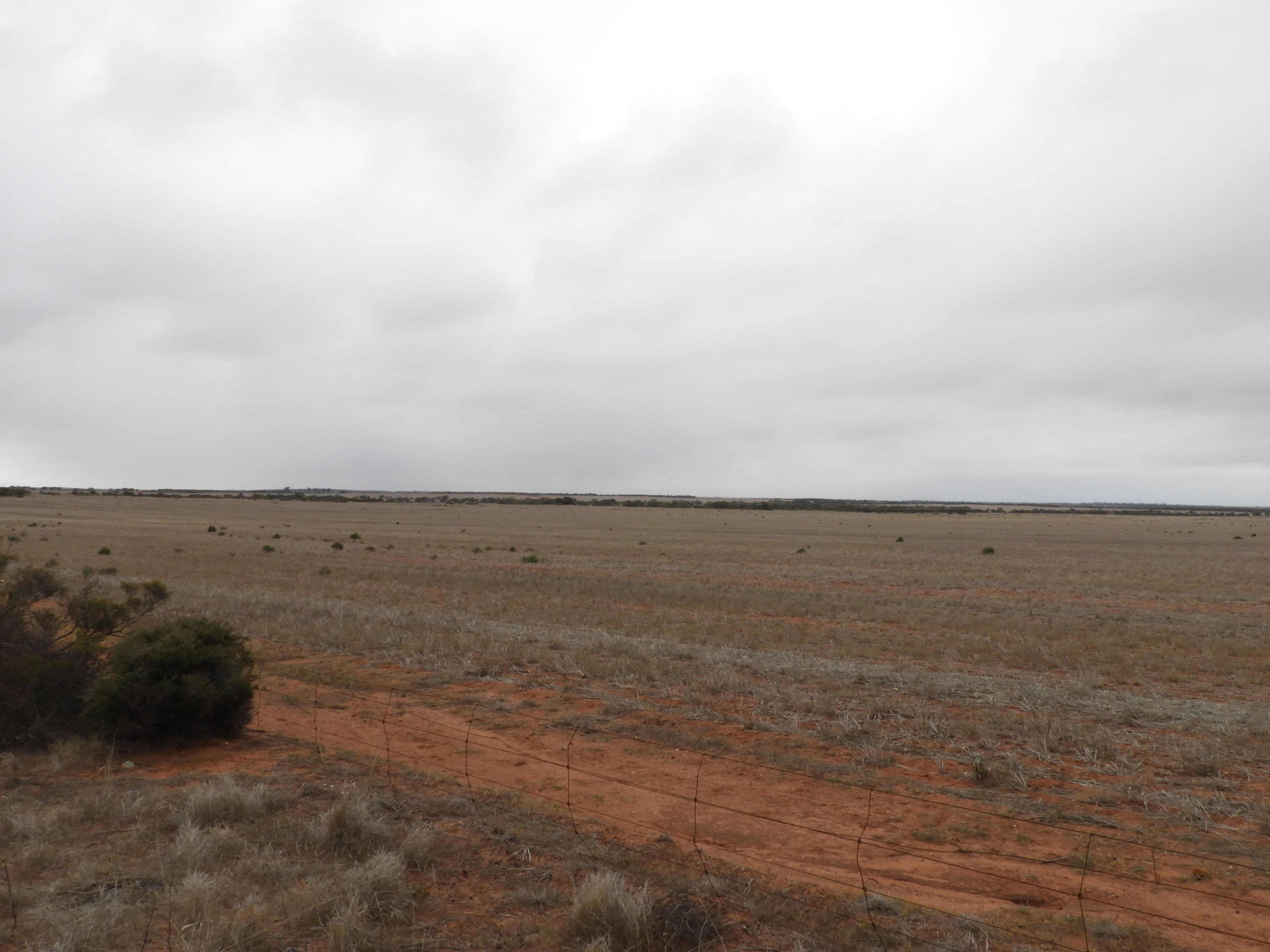 0 Trellies, CANNA WA 6627, Canna - Thumbnail 3