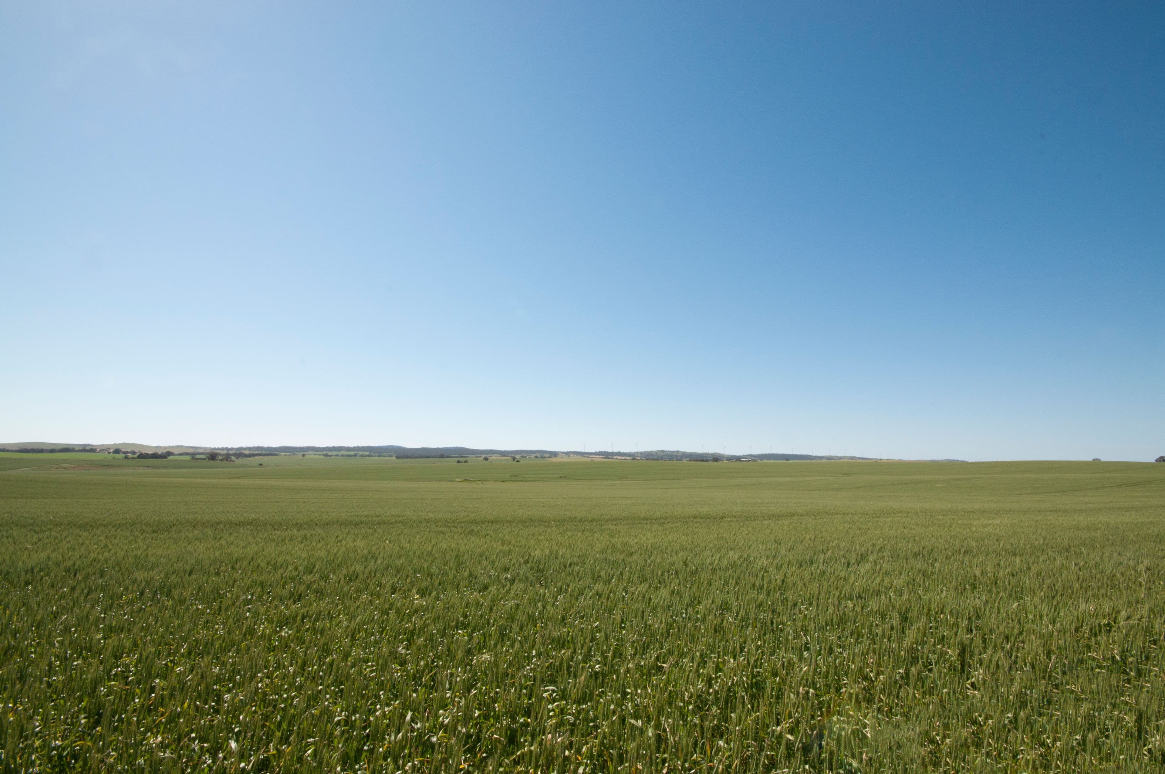"Felwake" Main Road 45, WATERLOO SA 5413, Waterloo - Image 1