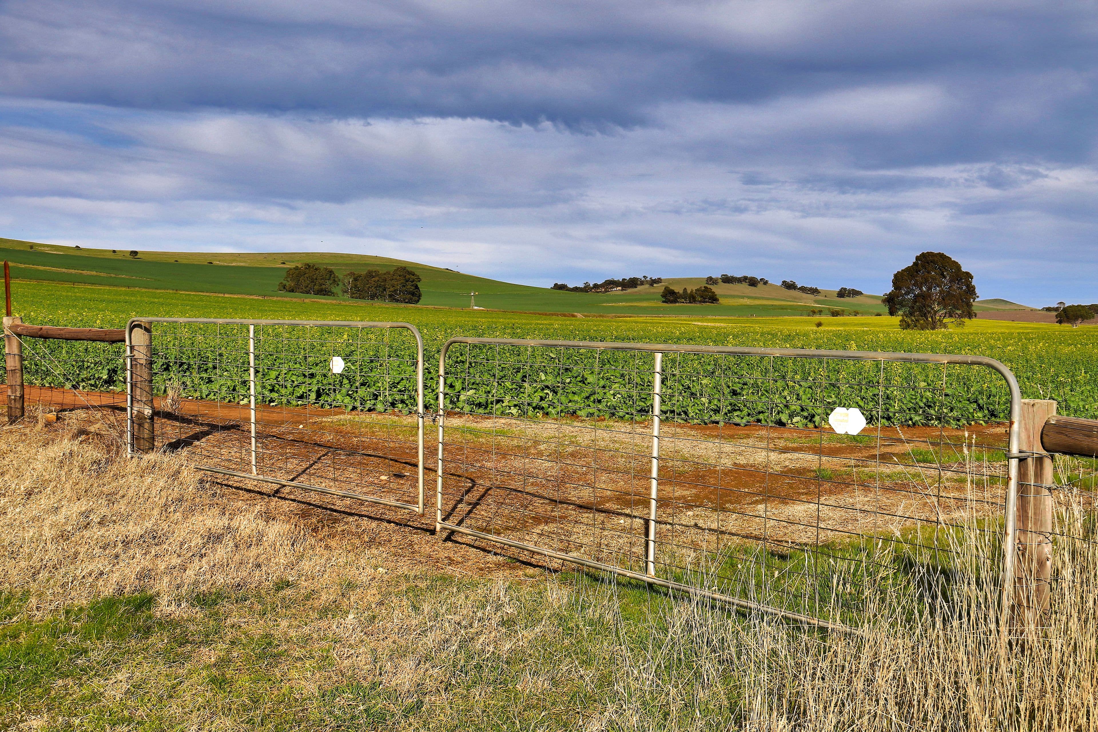 "Allens" 304 Calcannia Road, CLARE SA 5453, Clare - Thumbnail 6