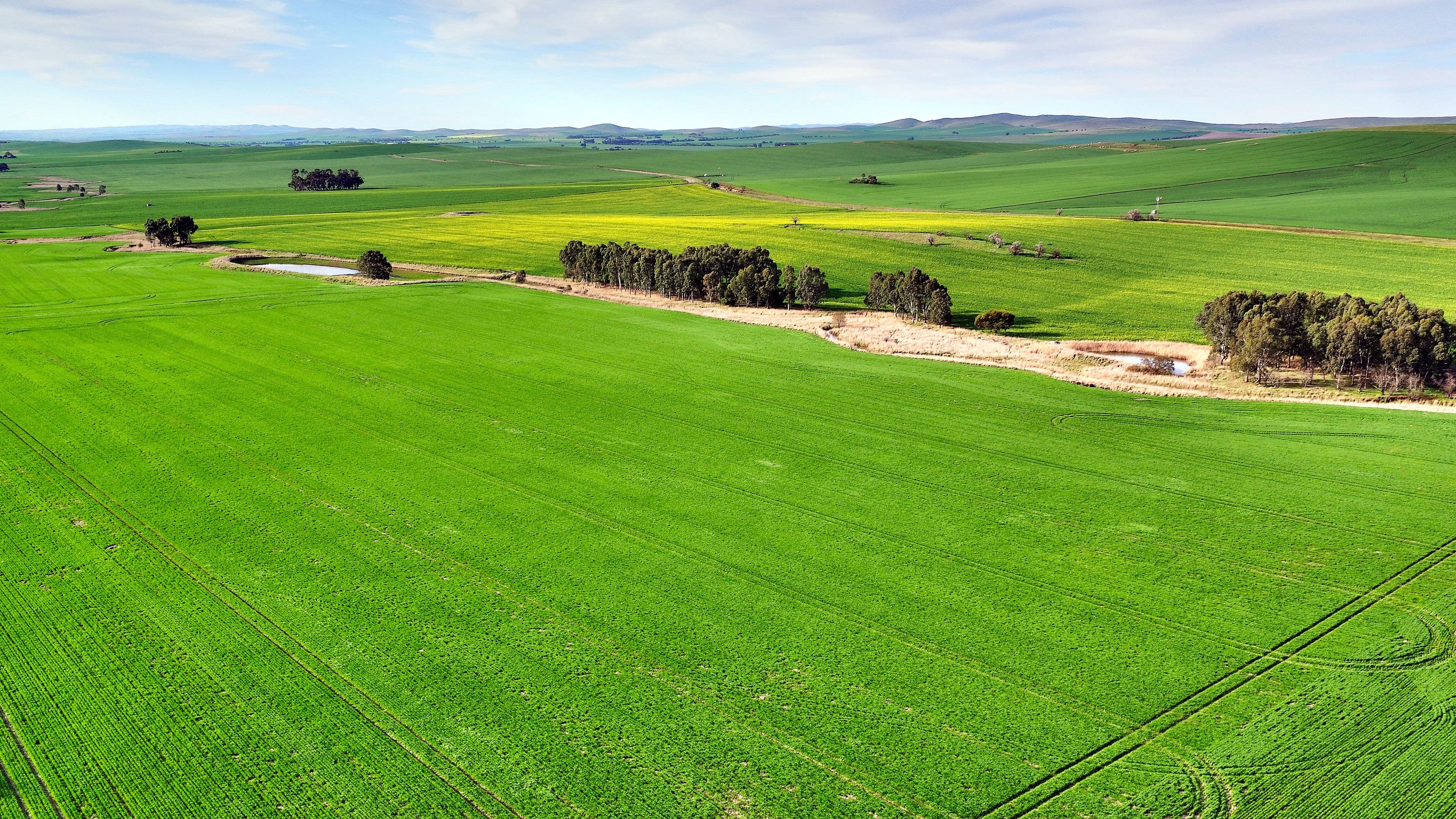 "Allens" 304 Calcannia Road, CLARE SA 5453, Clare - Thumbnail 5