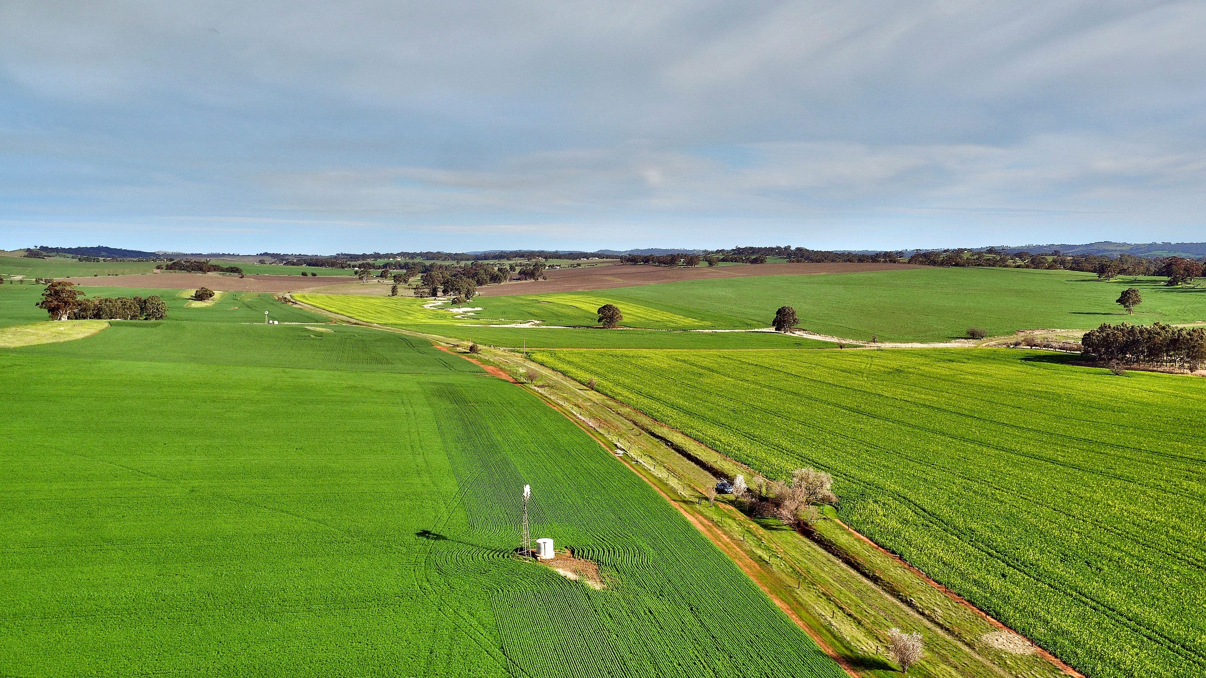 "Allens" 304 Calcannia Road, CLARE SA 5453, Clare - Thumbnail 3