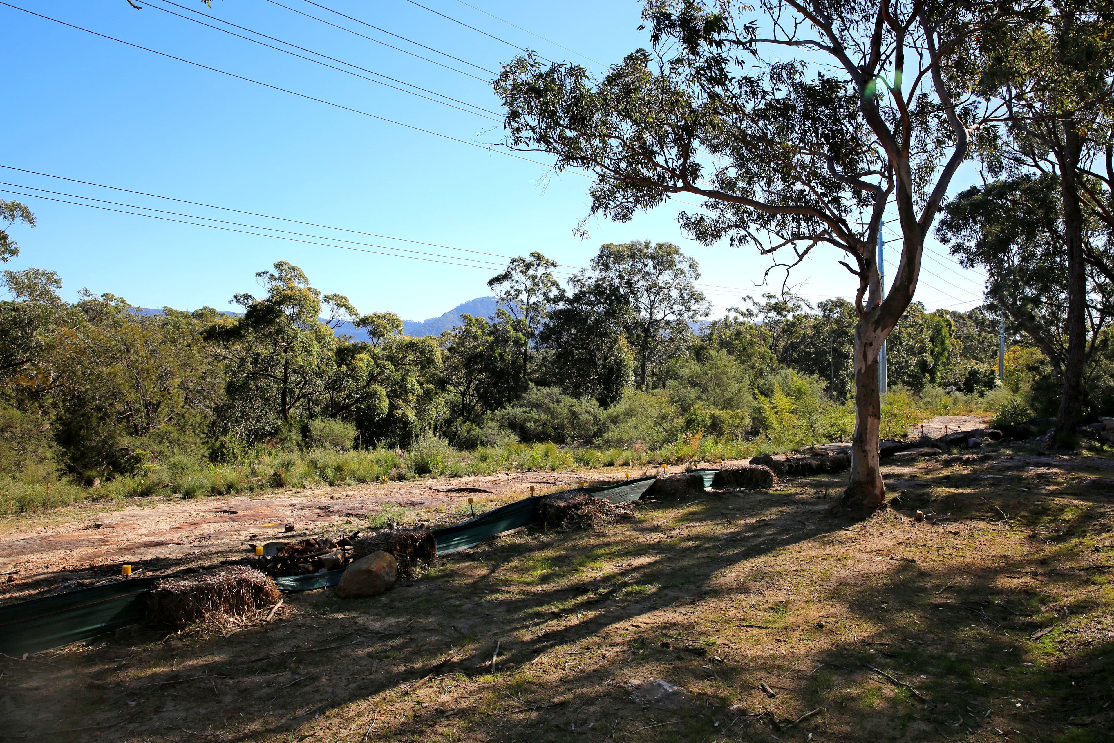 Lot 5, 433A Princes Highway, Bomaderry NSW 2541, Bomaderry - Thumbnail 4