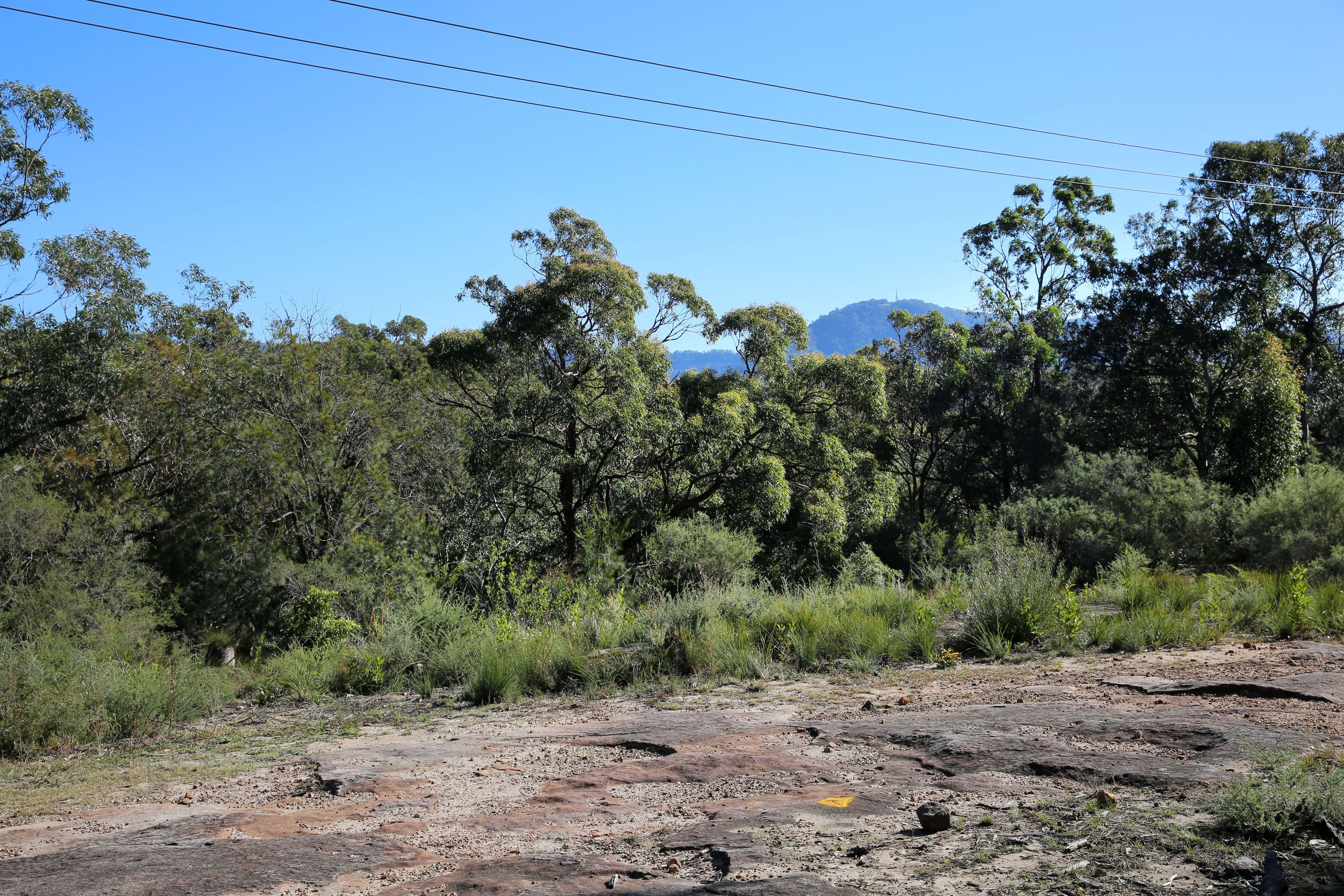 Lot 5, 433A Princes Highway, Bomaderry NSW 2541, Bomaderry - Thumbnail 6