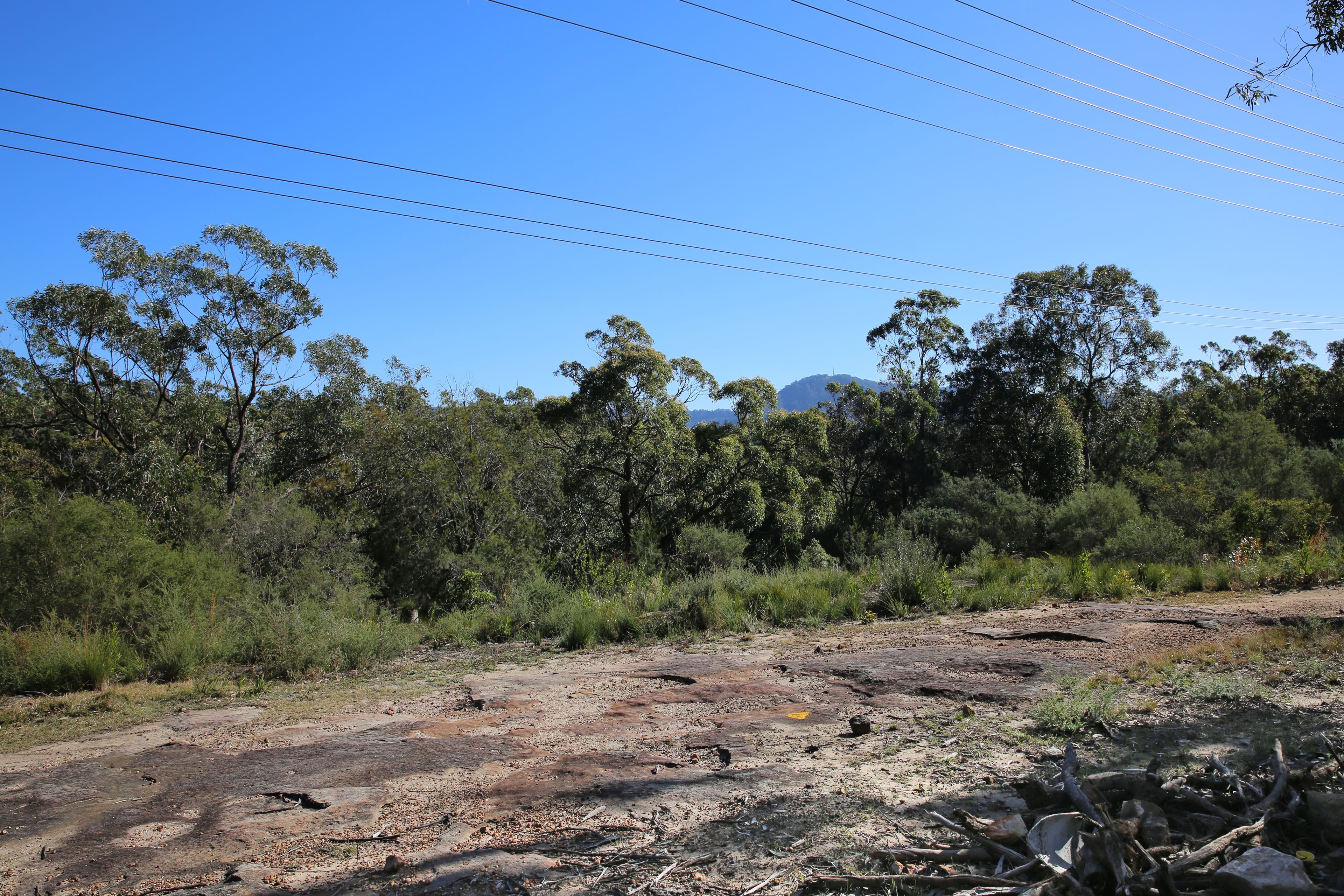 Lot 5, 433A Princes Highway, Bomaderry NSW 2541, Bomaderry - Thumbnail 5