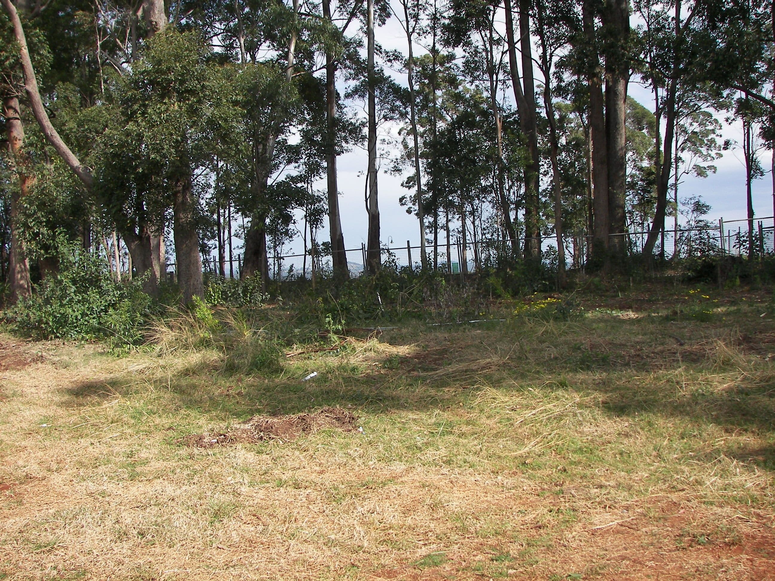 212 The Ruins Way, Port Macquarie NSW 2444, Port Macquarie - Thumbnail 3