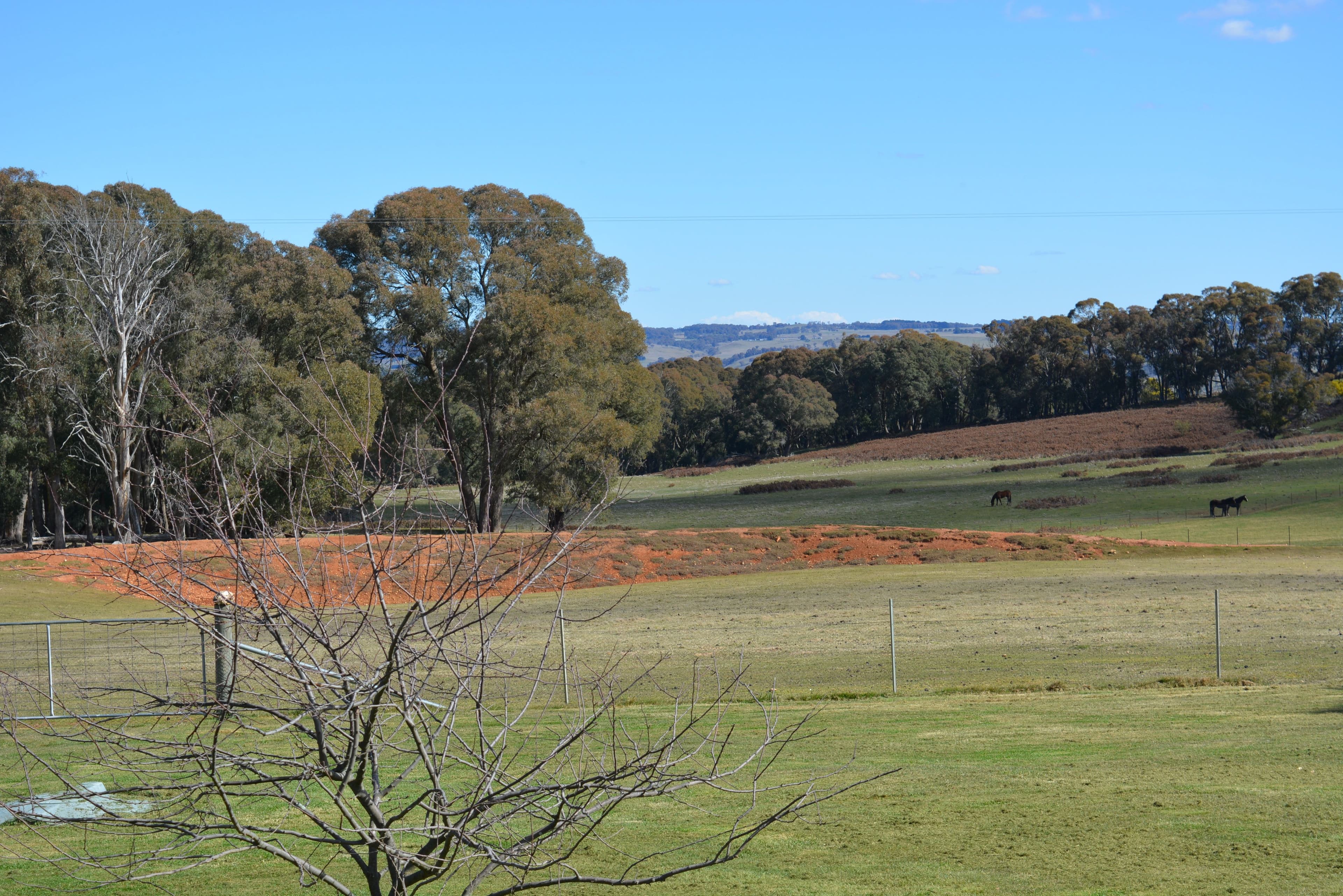 289 Redground Heights Road, Crookwell NSW 2583, Crookwell - Thumbnail 7