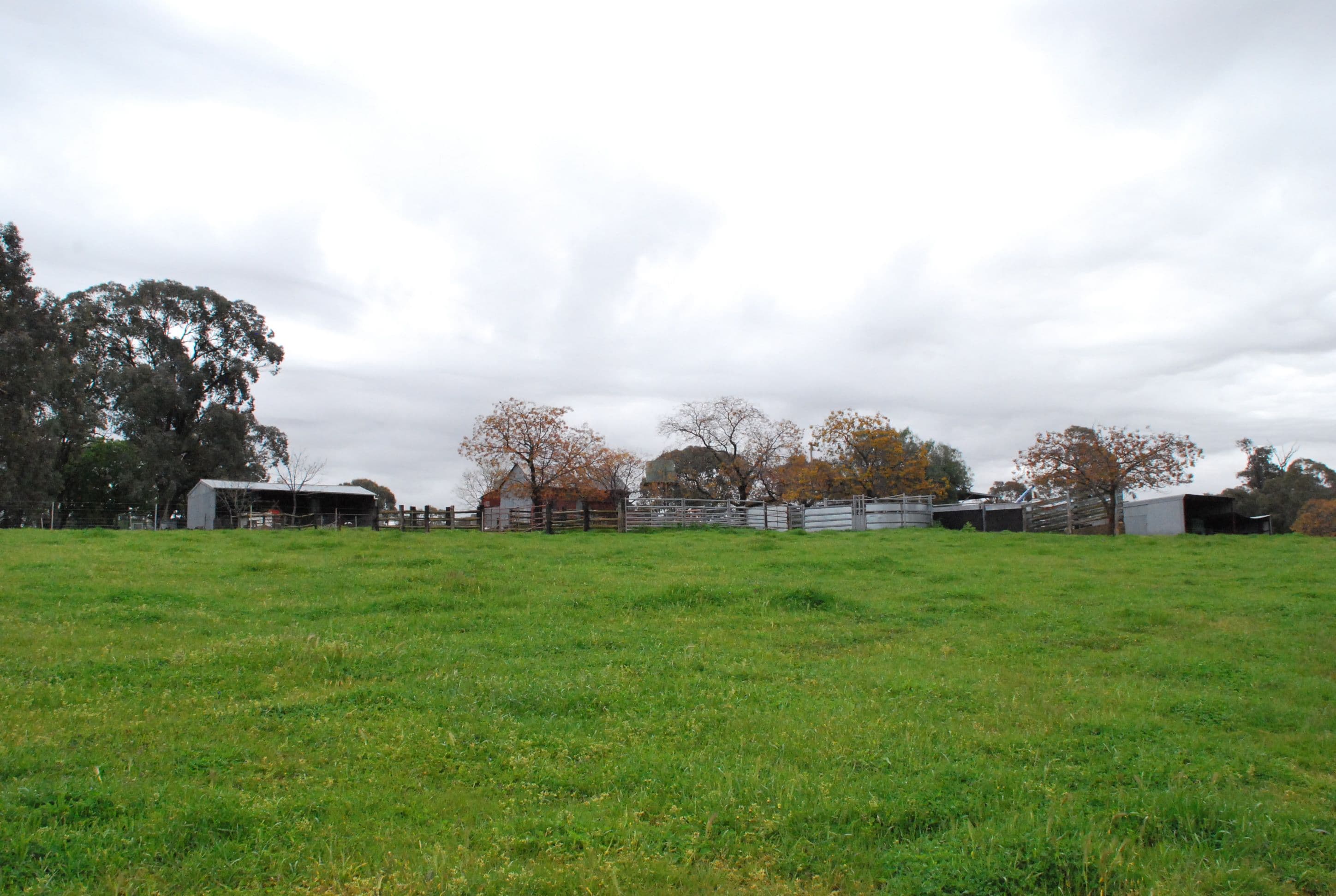 'Banderra' 246 Gowan Green Road, MOLONG NSW 2866, Molong - Thumbnail 5