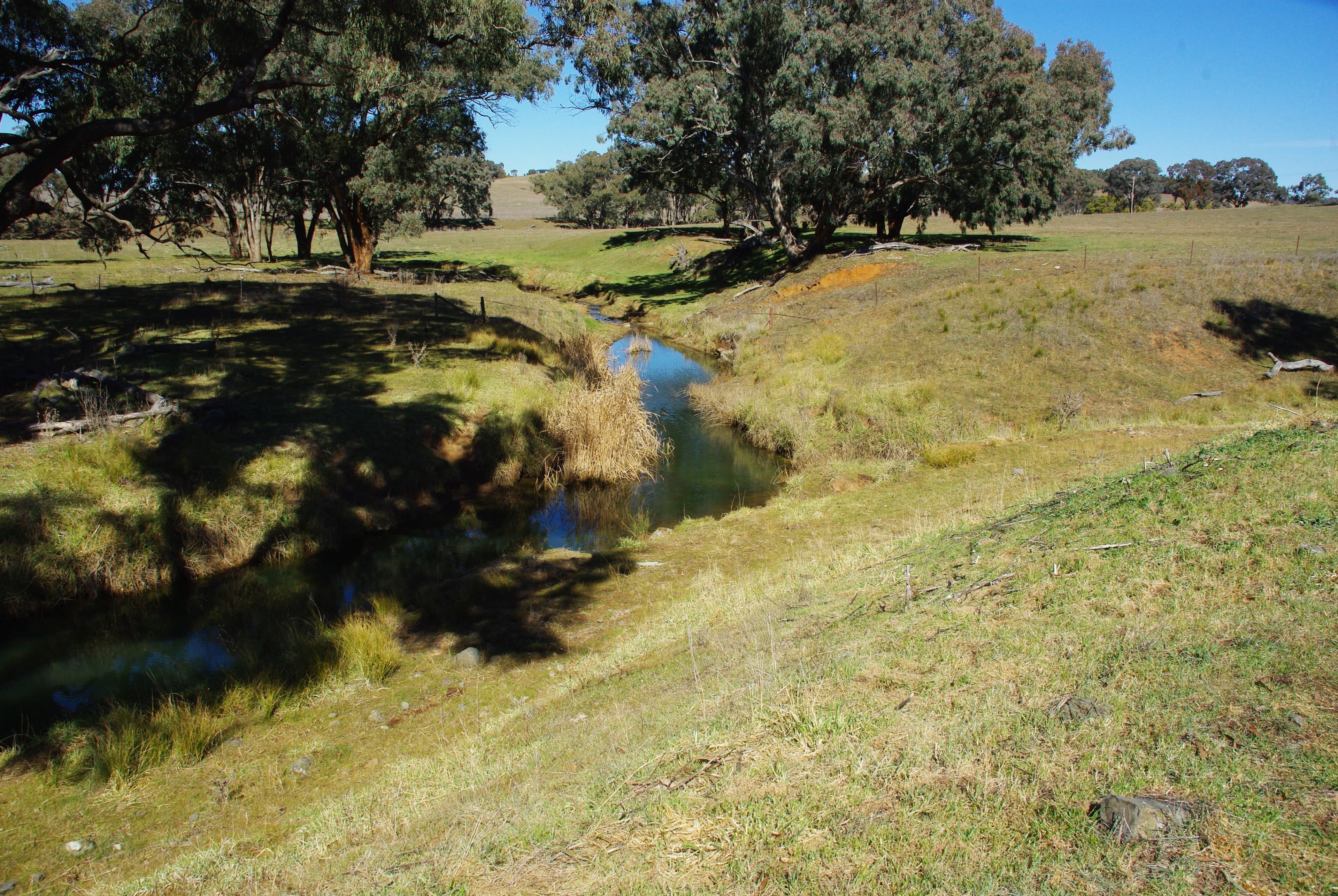 'Banderra' 246 Gowan Green Road, MOLONG NSW 2866, Molong - Thumbnail 3