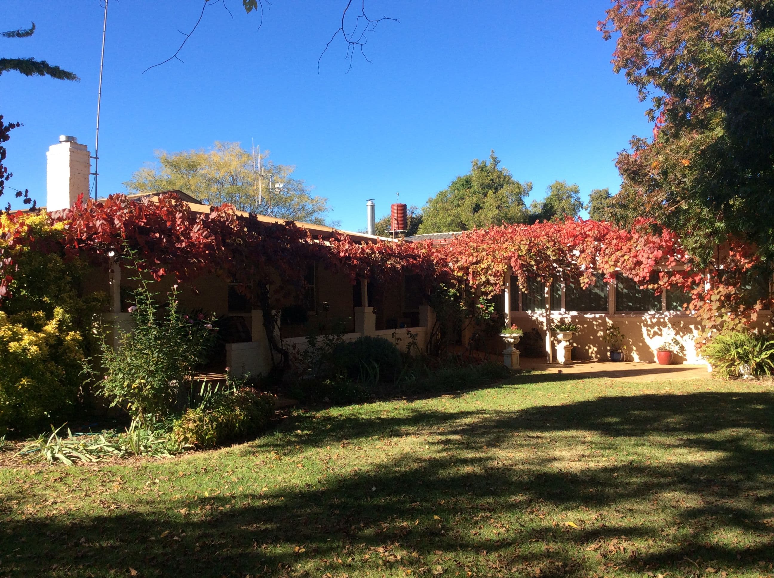 'Banderra' 246 Gowan Green Road, MOLONG NSW 2866, Molong - Thumbnail 2