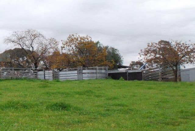'Banderra' 246 Gowan Green Road, MOLONG NSW 2866, Molong - Thumbnail 8