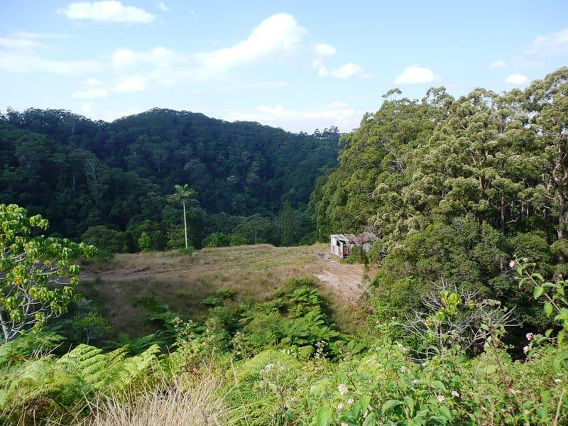 260 Cudgera Creek Road, Cudgera Creek NSW 2484, Cudgera Creek - Image 1