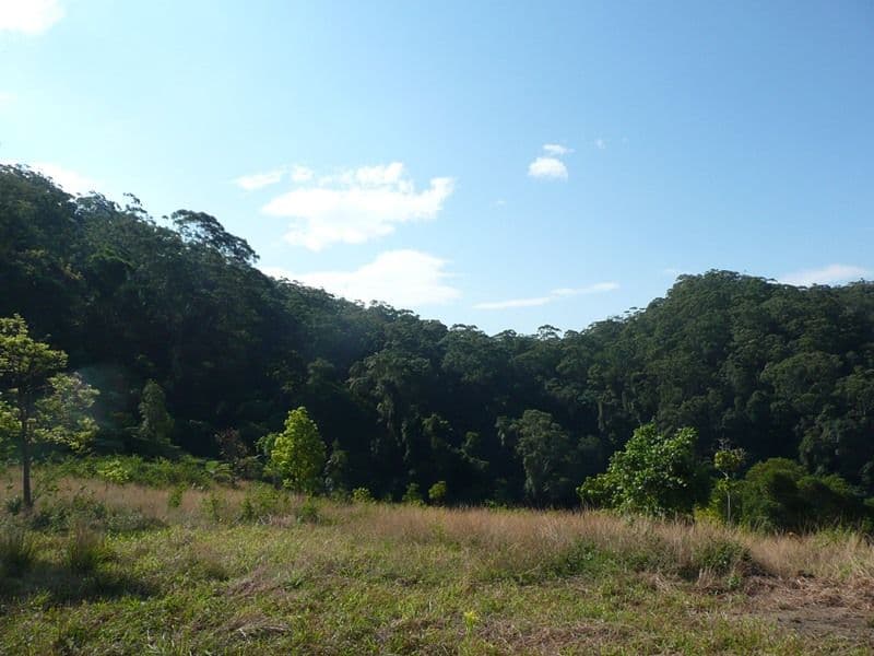 260 Cudgera Creek Road, Cudgera Creek NSW 2484, Cudgera Creek - Thumbnail 6