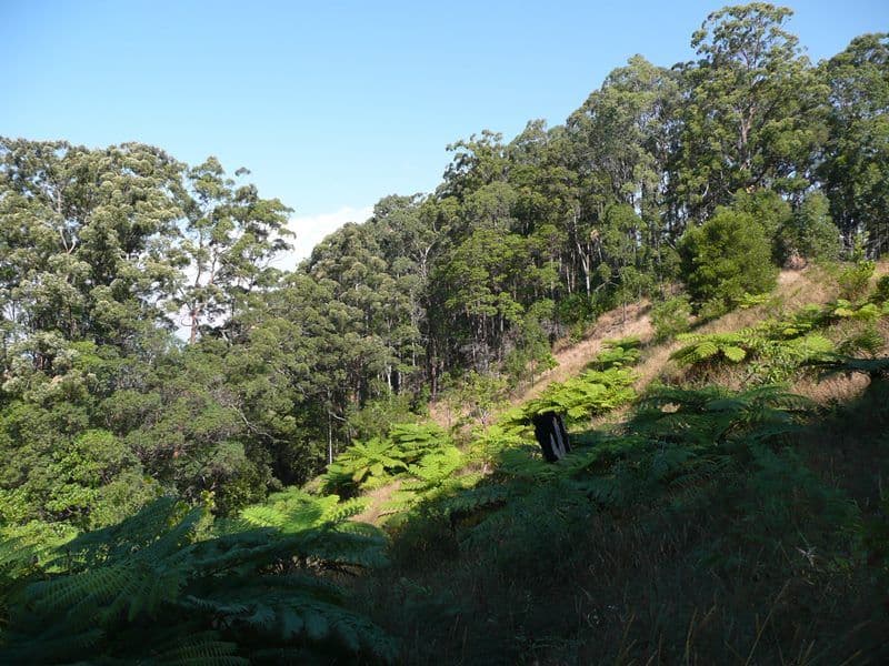260 Cudgera Creek Road, Cudgera Creek NSW 2484, Cudgera Creek - Thumbnail 5