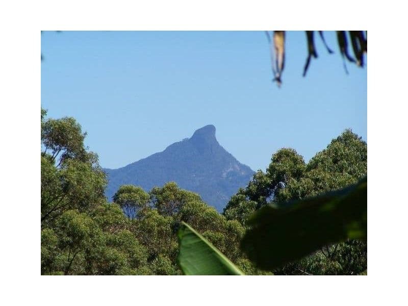 260 Cudgera Creek Road, Cudgera Creek NSW 2484, Cudgera Creek - Thumbnail 4
