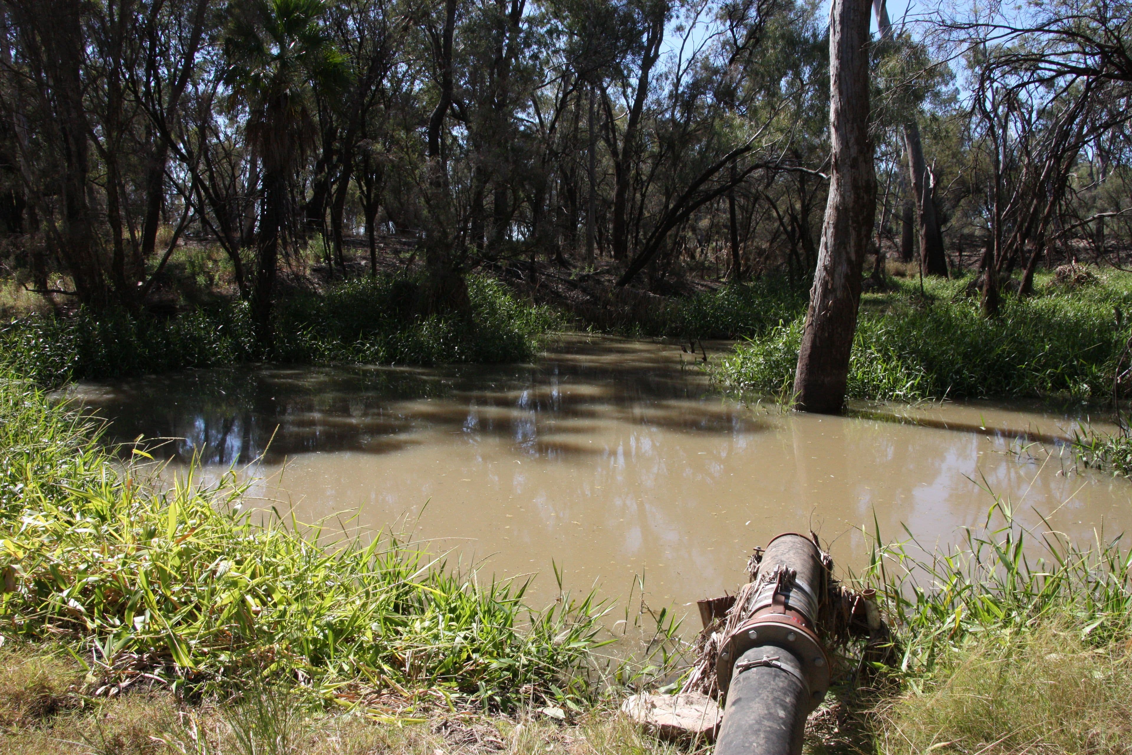 0 Freemans Road, Theodore QLD 4719, Theodore - Thumbnail 3
