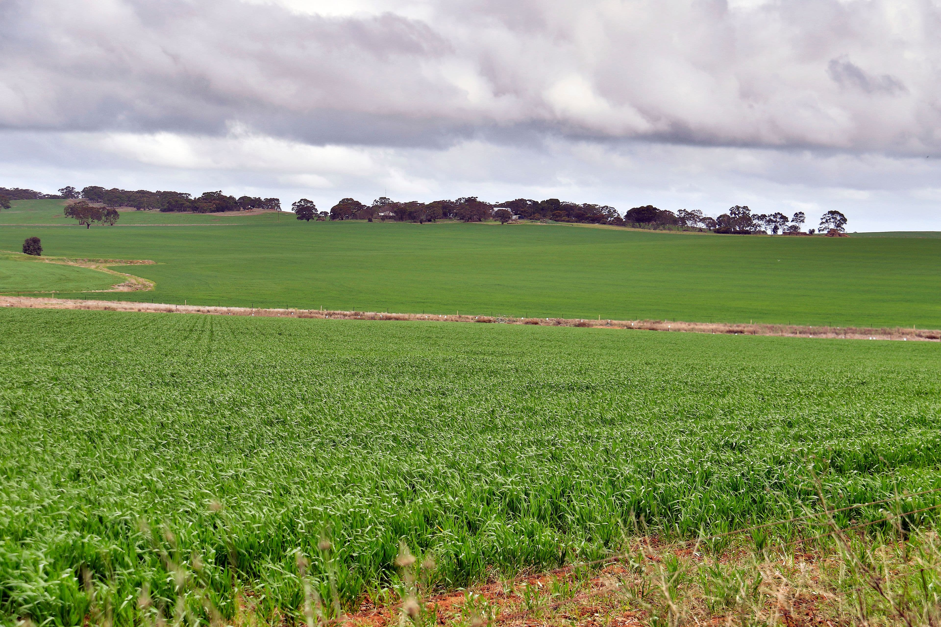"The Ridge" Barrier Highway, Manoora SA 5414, Manoora - Thumbnail 2