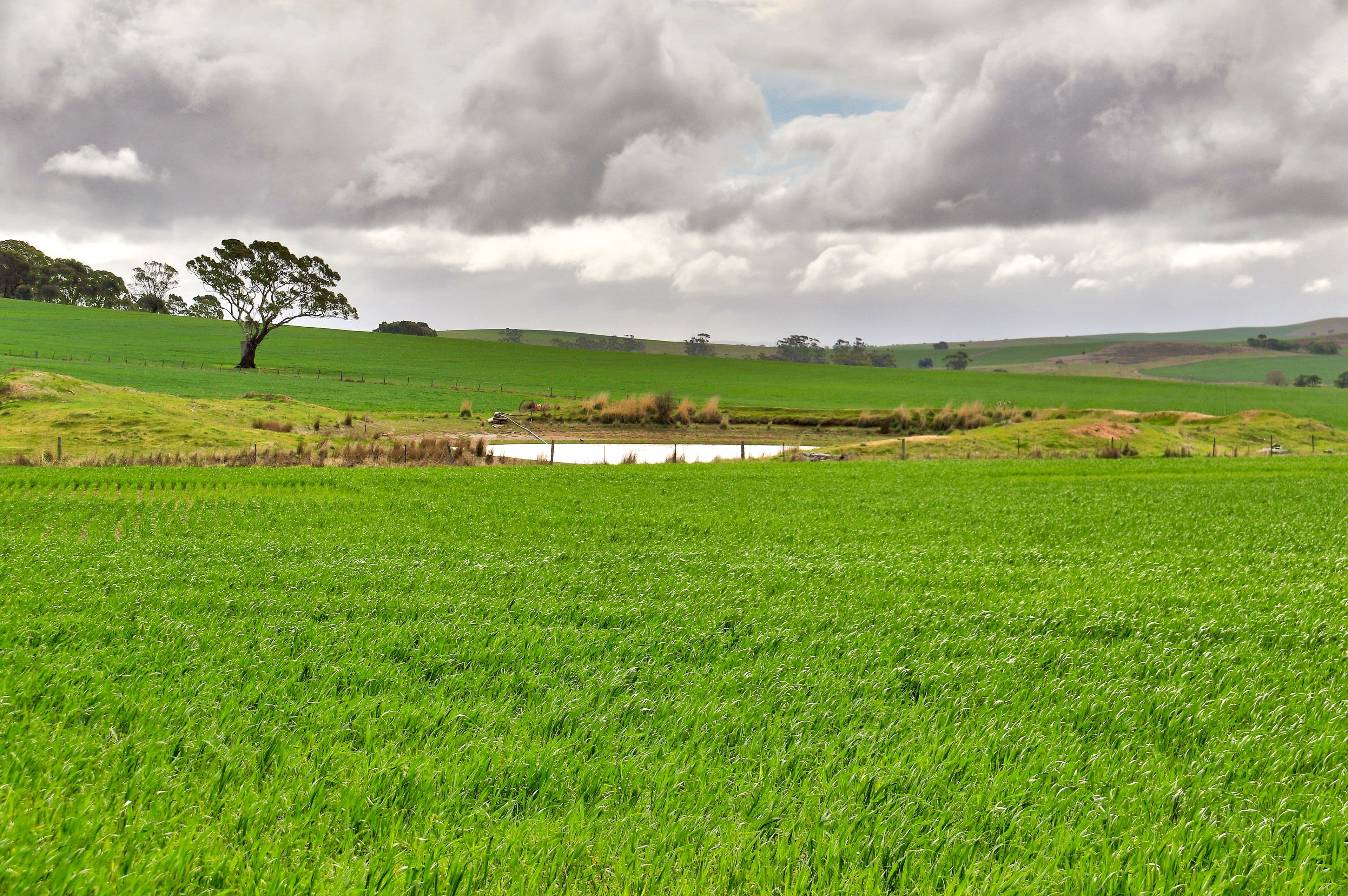 "The Ridge" Barrier Highway, Manoora SA 5414, Manoora - Thumbnail 4