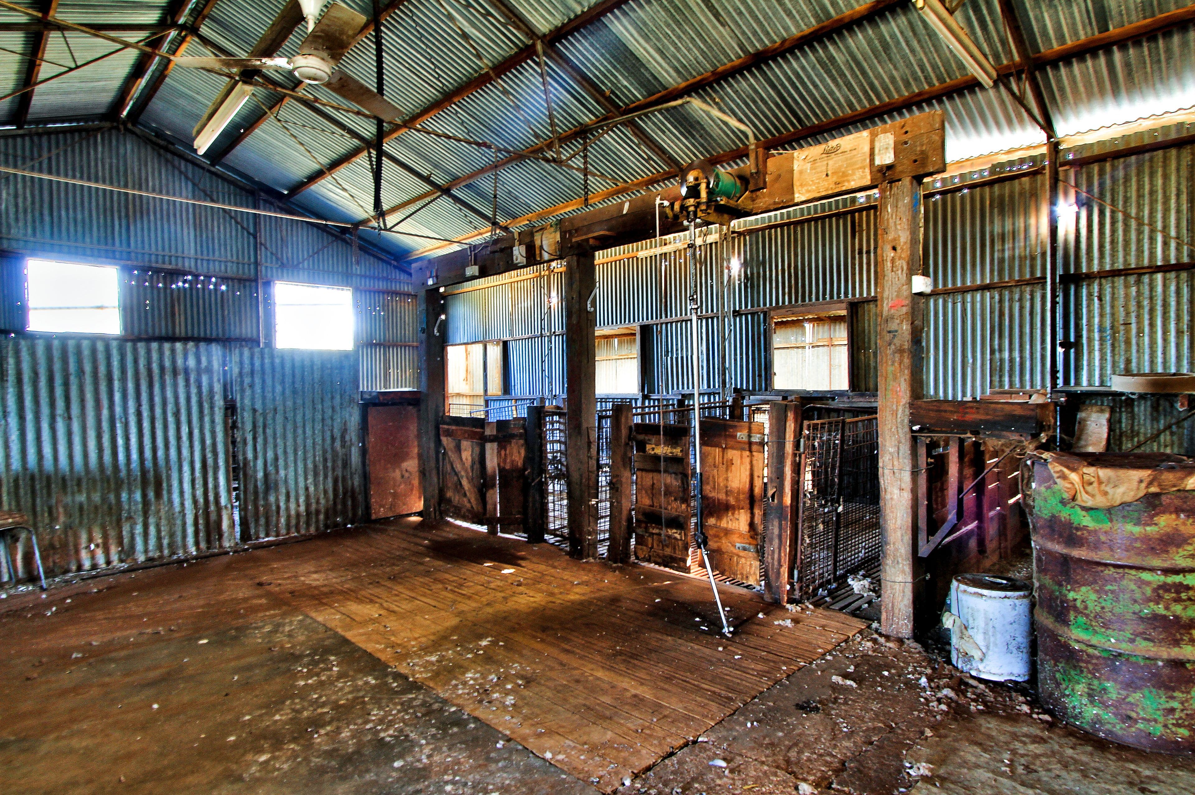 Mindarie Downs 602 McCabe Road, WANBI SA 5310, Wanbi - Thumbnail 8