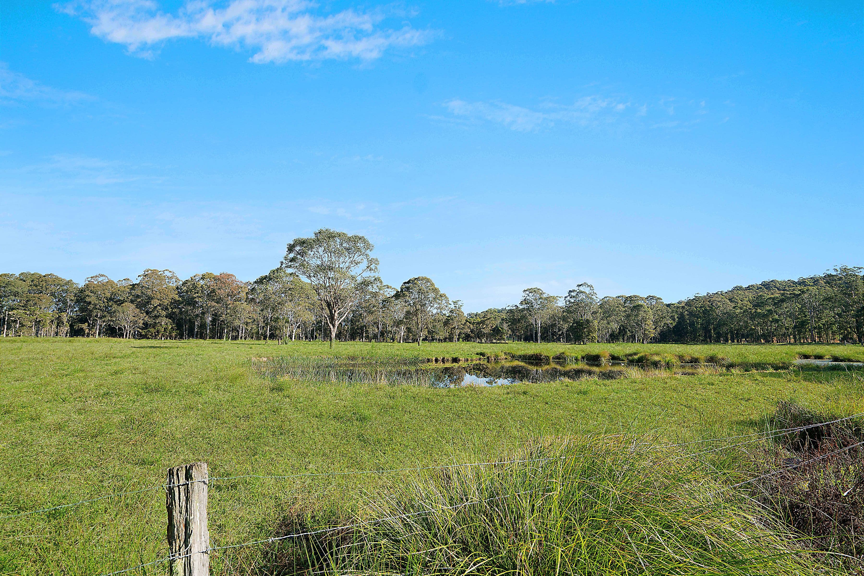 35 Sauls Road, Mandalong NSW 2264, Mandalong - Thumbnail 8