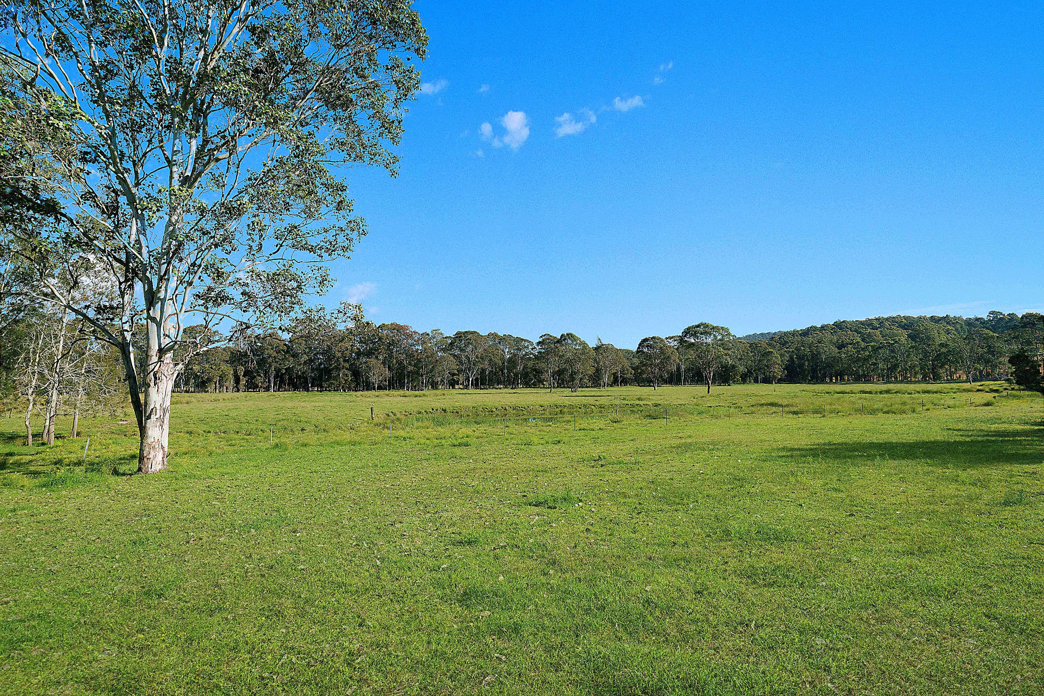 35 Sauls Road, Mandalong NSW 2264, Mandalong - Thumbnail 7
