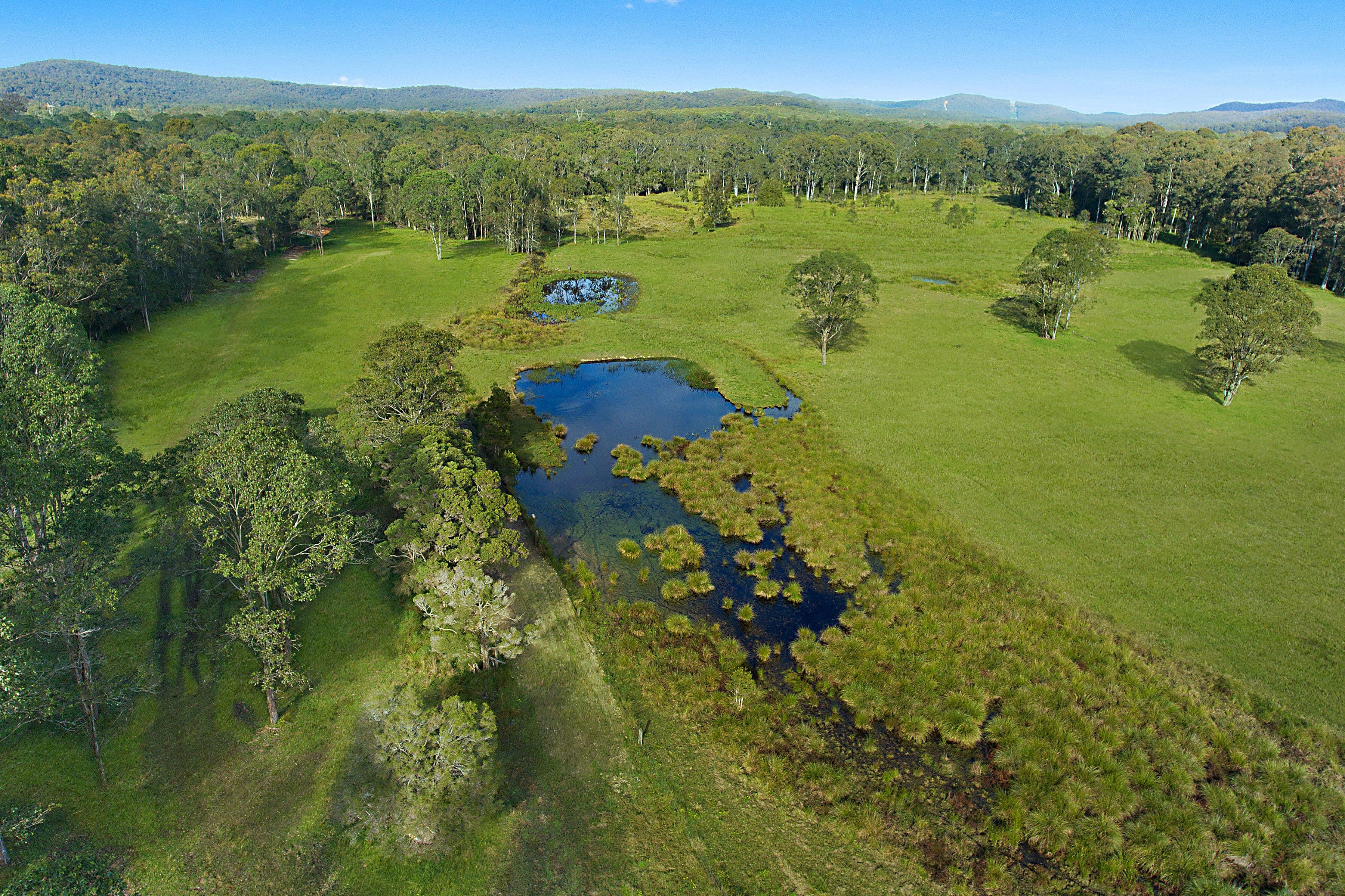 35 Sauls Road, Mandalong NSW 2264, Mandalong - Thumbnail 2