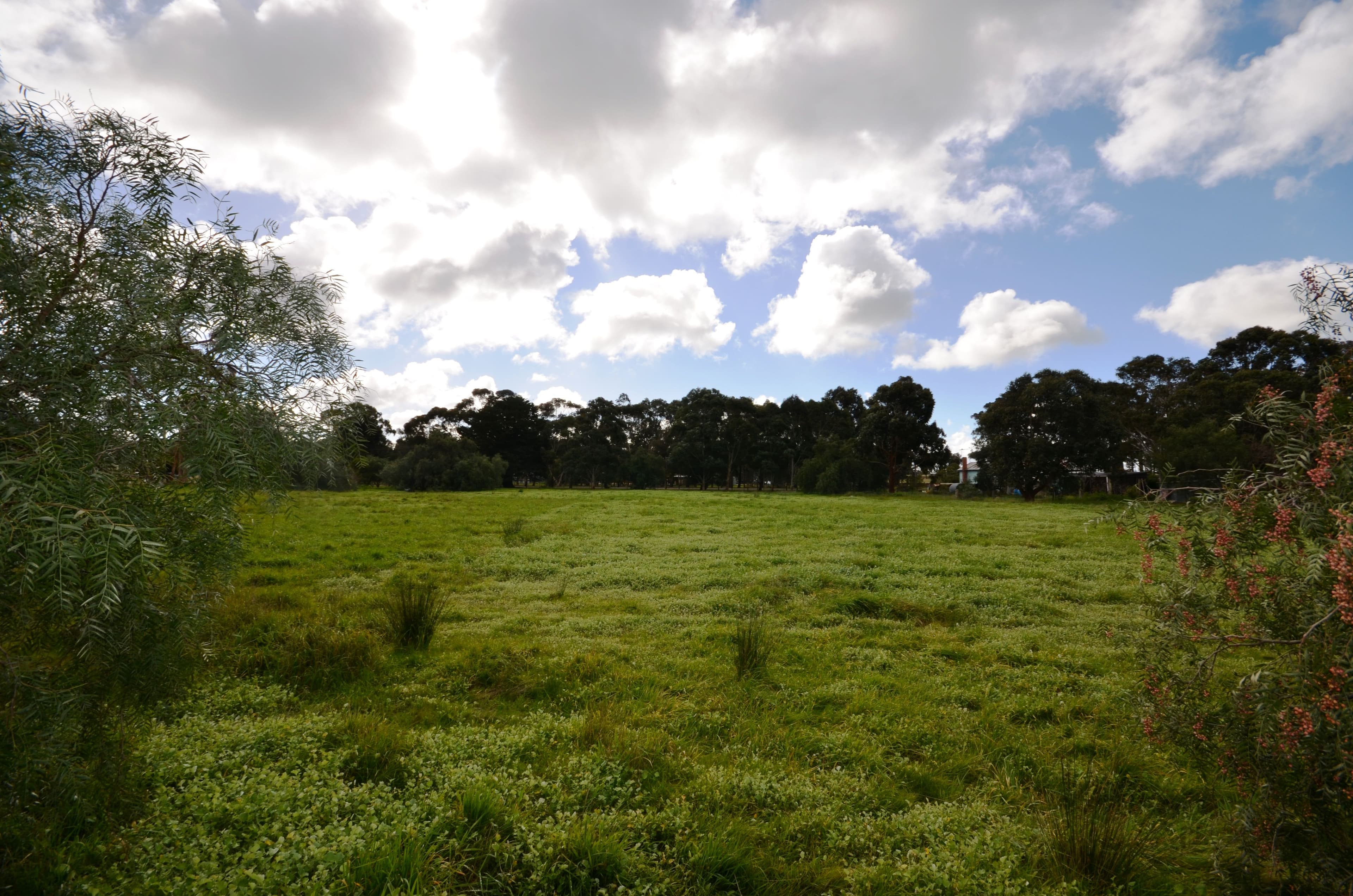 CA 5 Ferrars Street, ROKEWOOD VIC 3330, Rokewood - Thumbnail 4