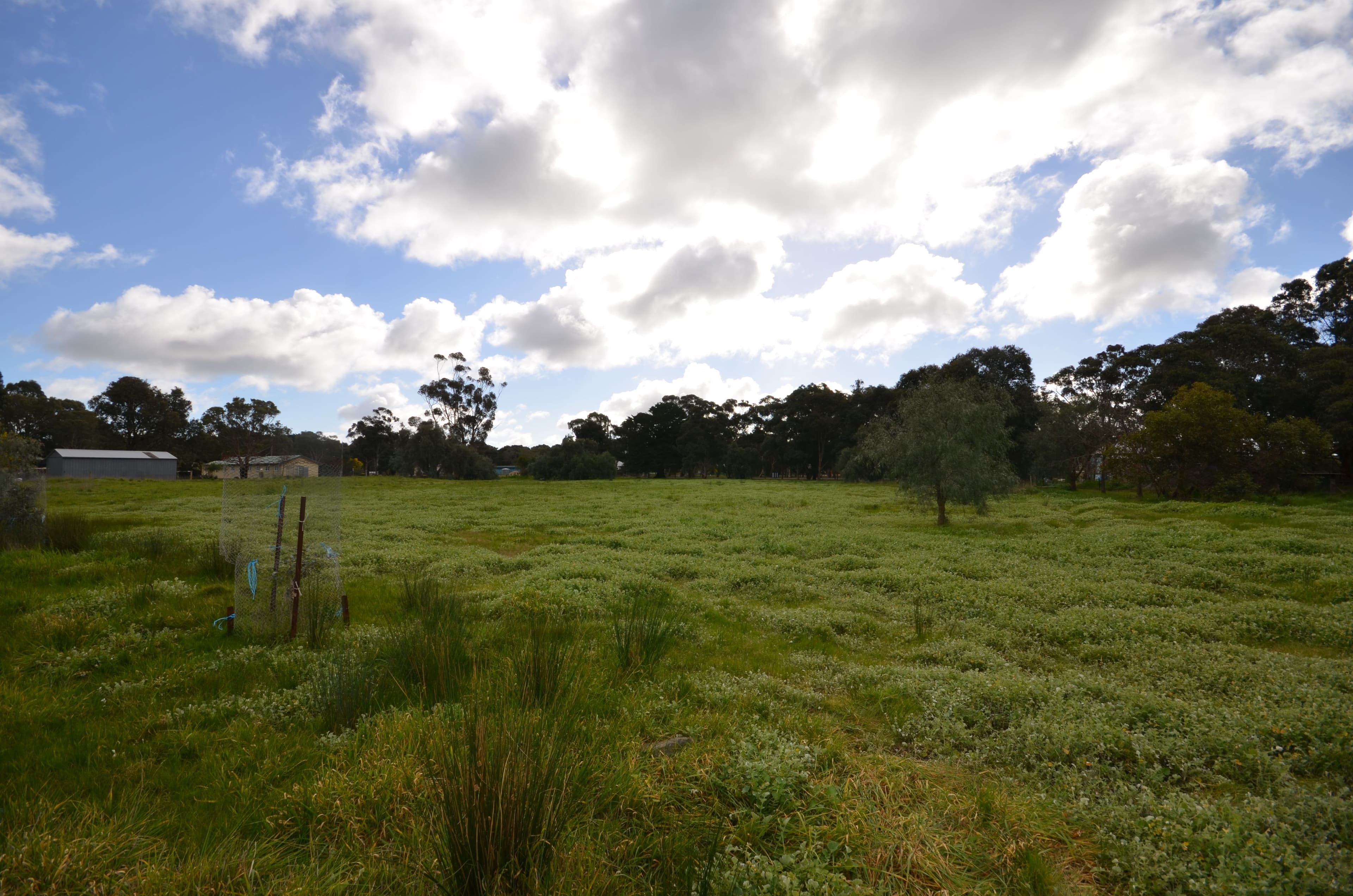 CA 5 Ferrars Street, ROKEWOOD VIC 3330, Rokewood - Thumbnail 3