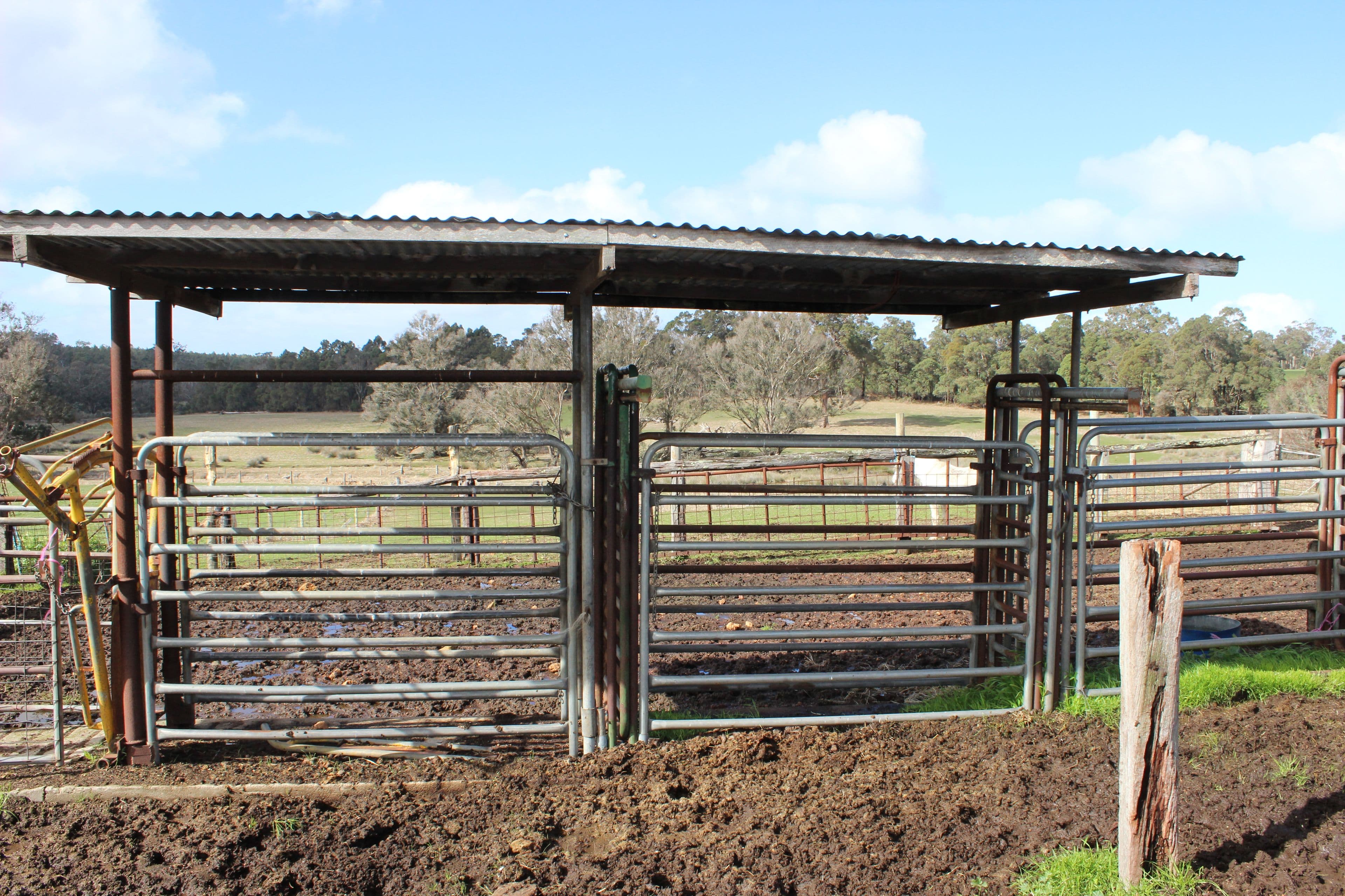 1771 Greenbushes Boyup Brook Road, Bridgetown WA 6255, Bridgetown - Thumbnail 3
