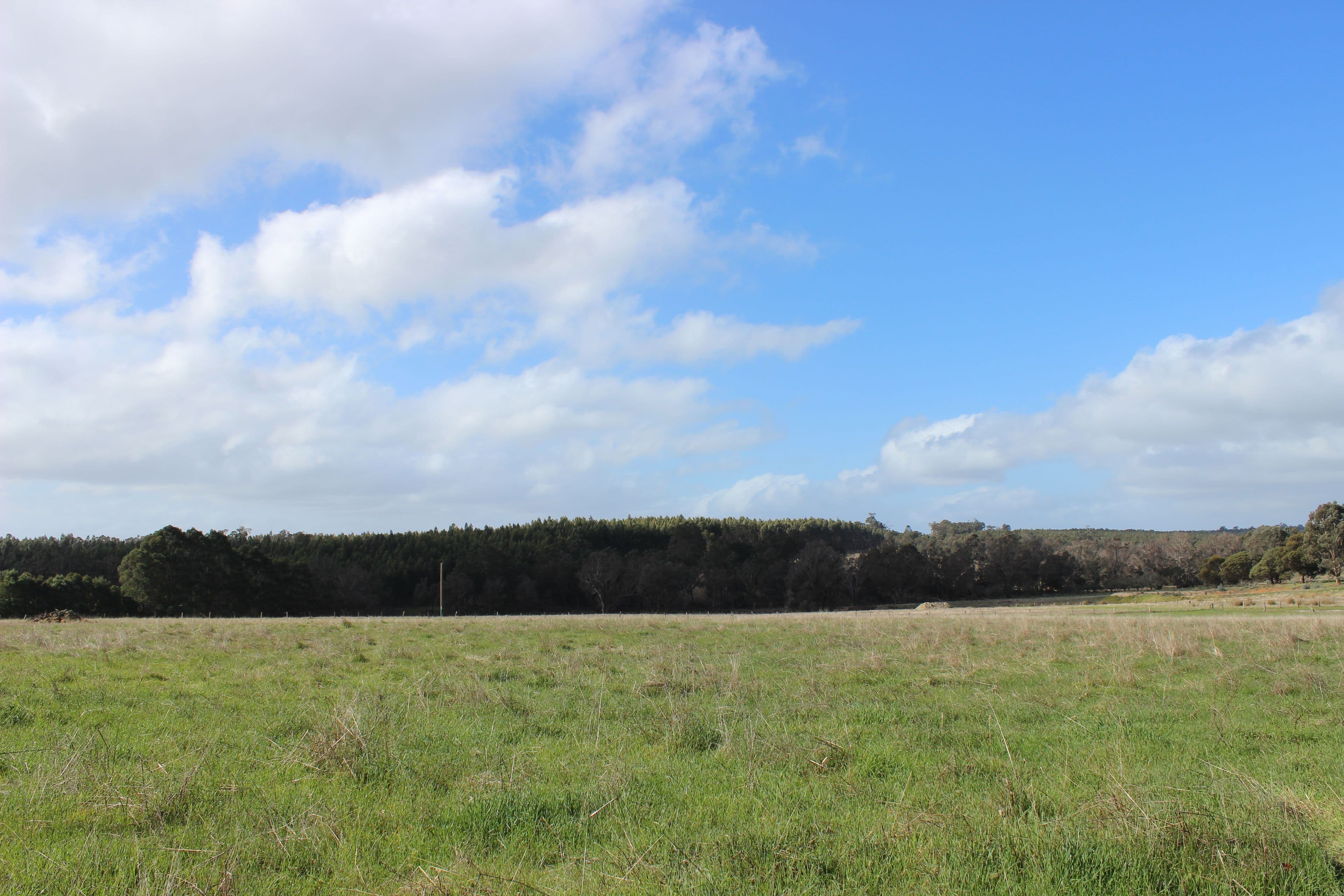 1771 Greenbushes Boyup Brook Road, Bridgetown WA 6255, Bridgetown - Thumbnail 4