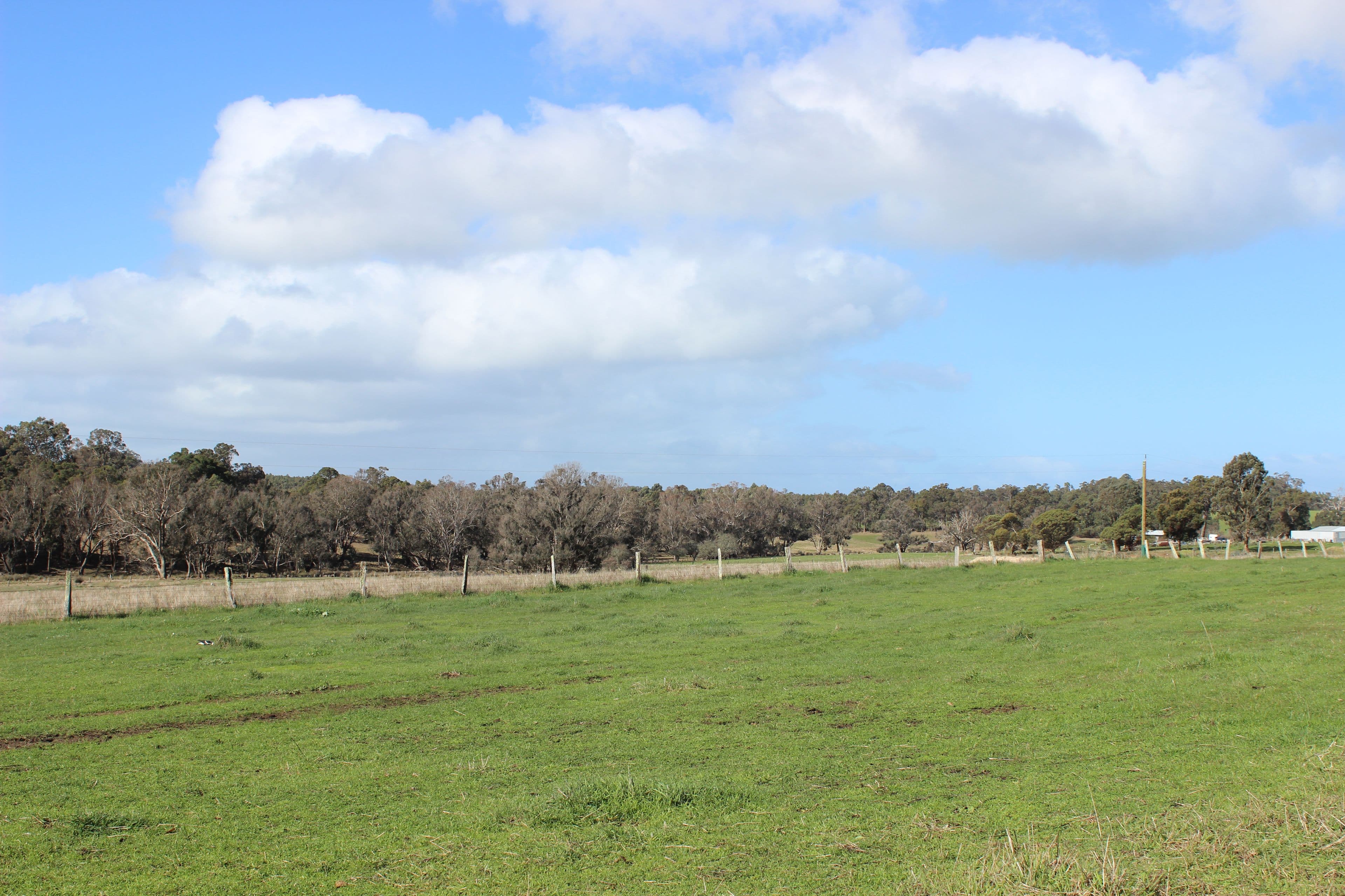 1771 Greenbushes Boyup Brook Road, Bridgetown WA 6255, Bridgetown - Image 1