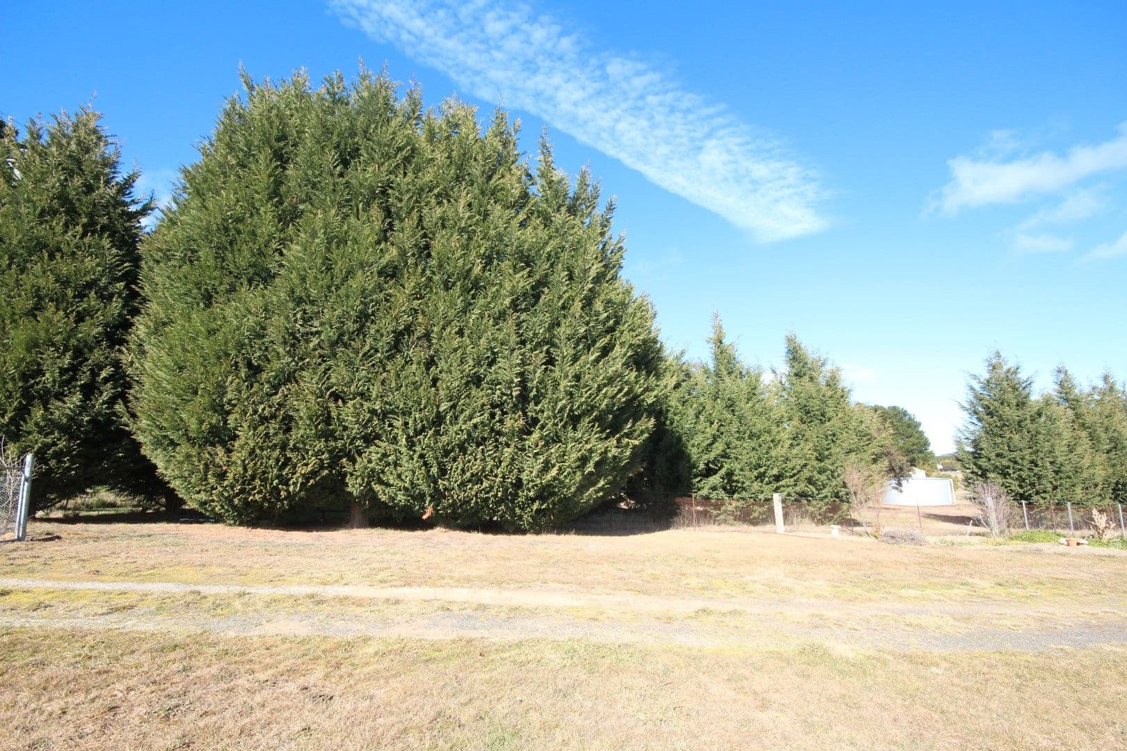 31 Fox Lane, Oberon NSW 2787, Oberon - Thumbnail 8