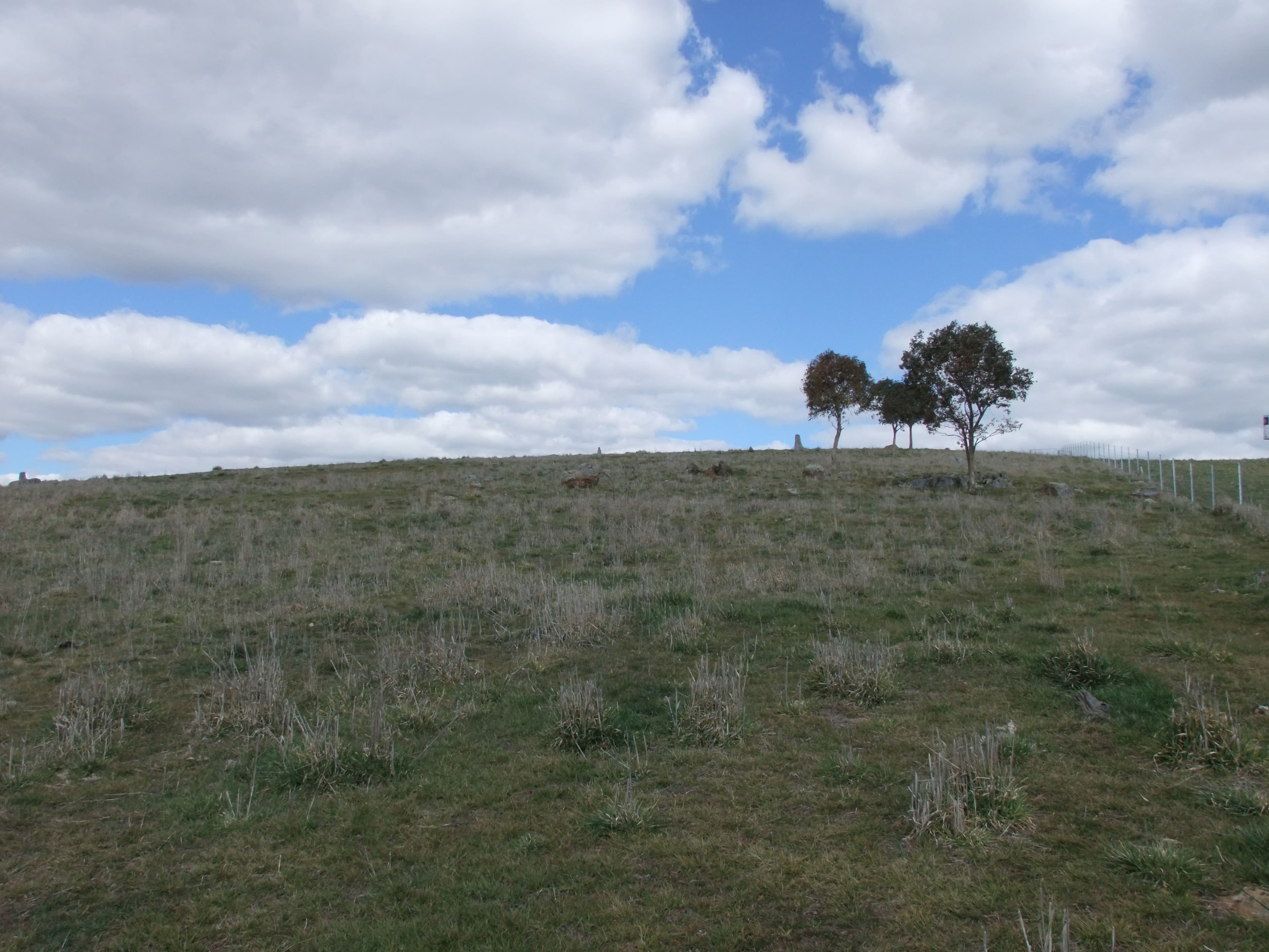 Lot 107 Browns Creek Road, Blayney NSW 2799, Blayney - Thumbnail 8